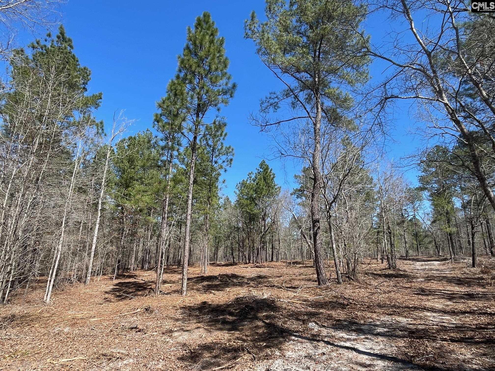1870 Henry Davis Road Unit #1 Cassatt, SC 29032-0000