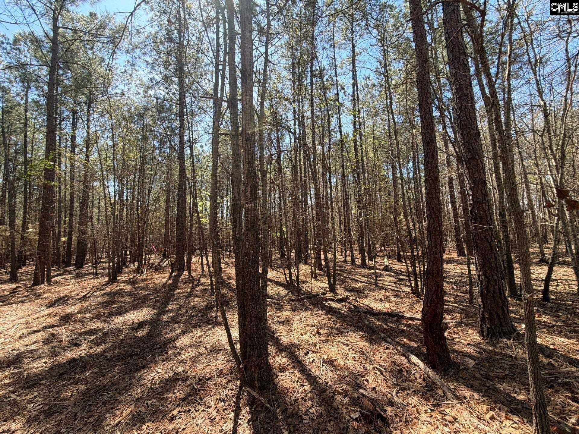 BHL 11 Boise Cascade Road Bethune, SC 29009