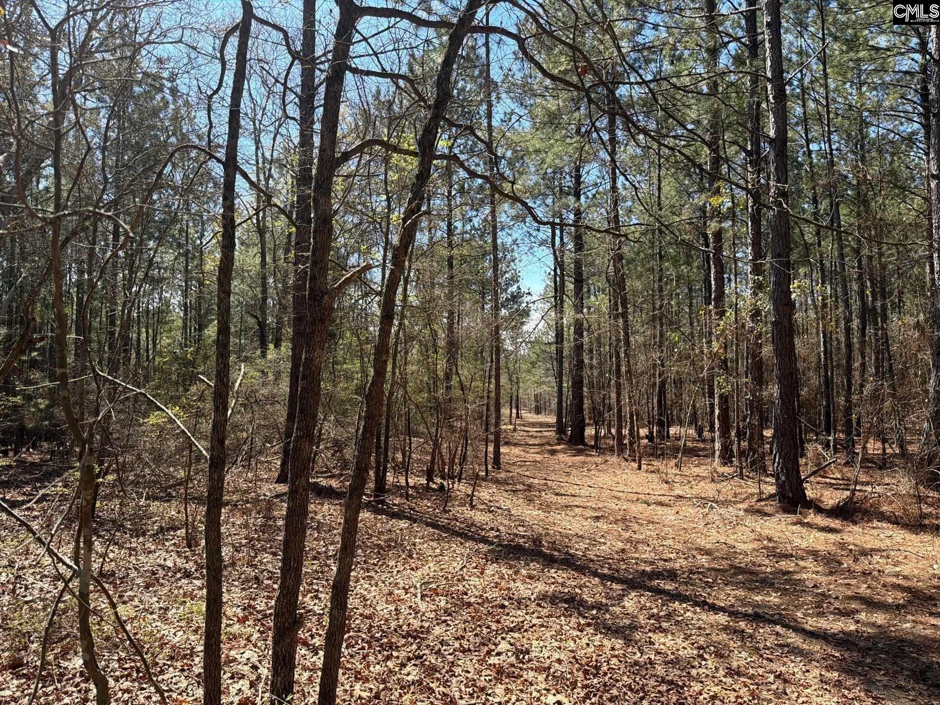 BHL 11 Boise Cascade Road Bethune, SC 29009