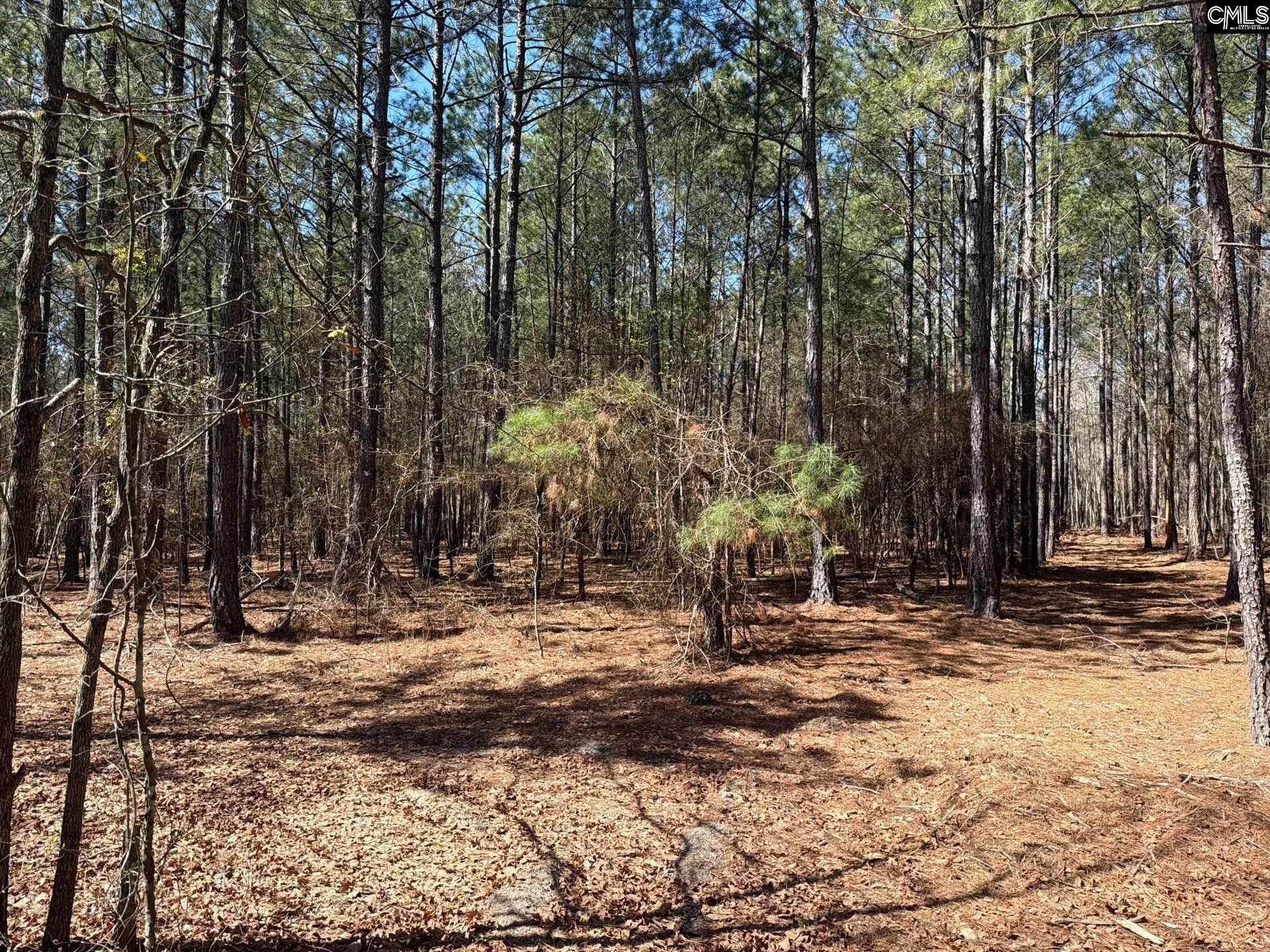 BHL 11 Boise Cascade Road Bethune, SC 29009