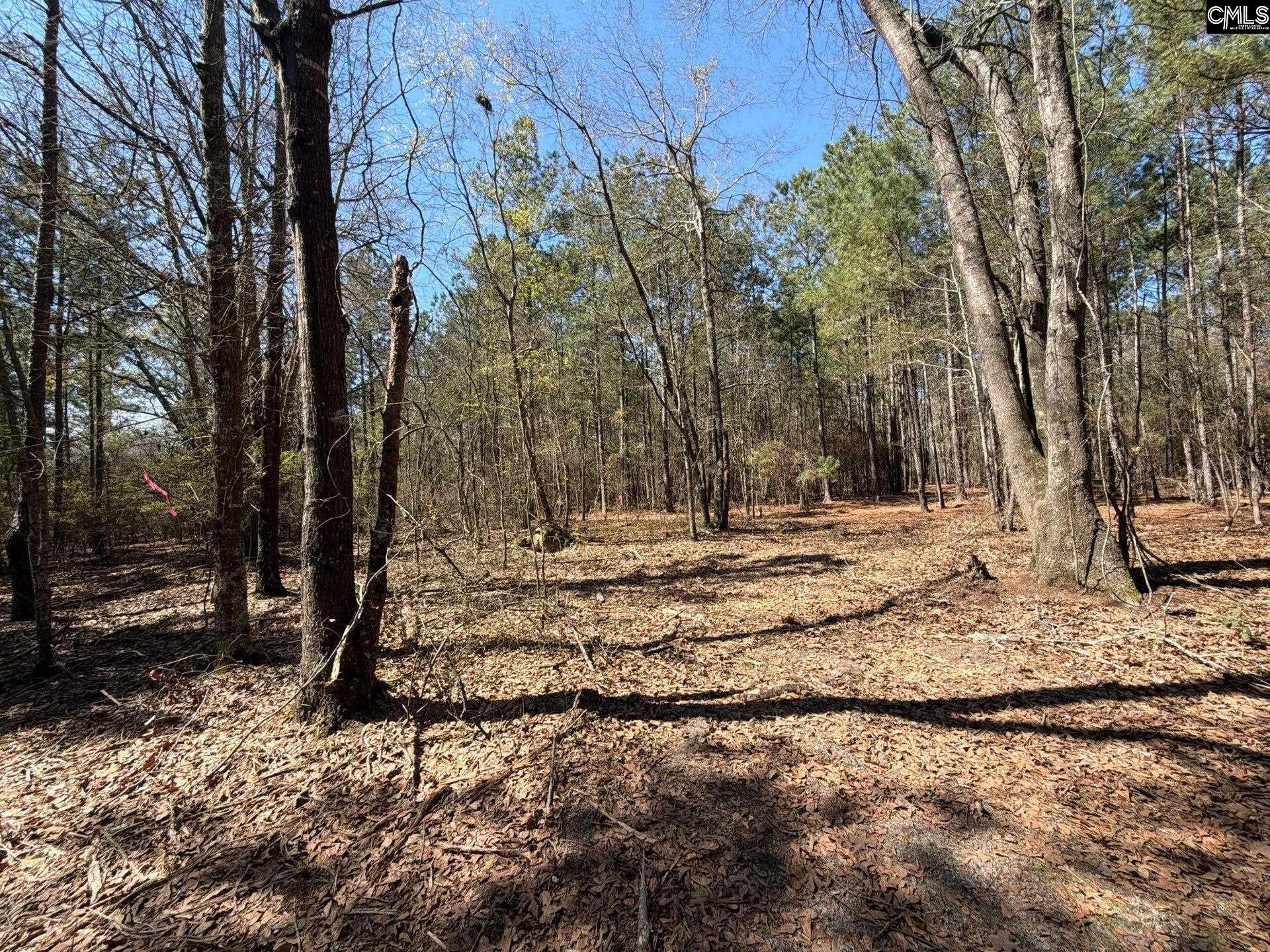 BHL 11 Boise Cascade Road Bethune, SC 29009