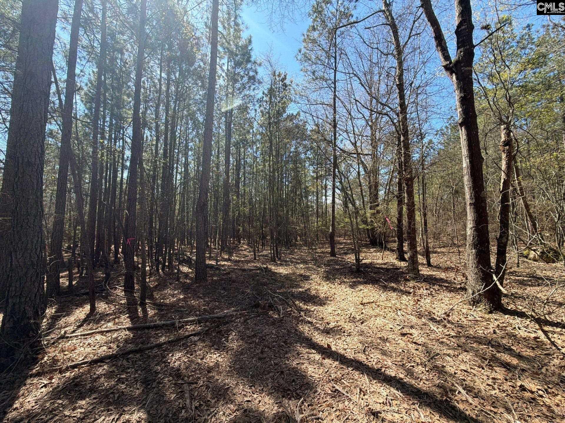 BHL 11 Boise Cascade Road Bethune, SC 29009