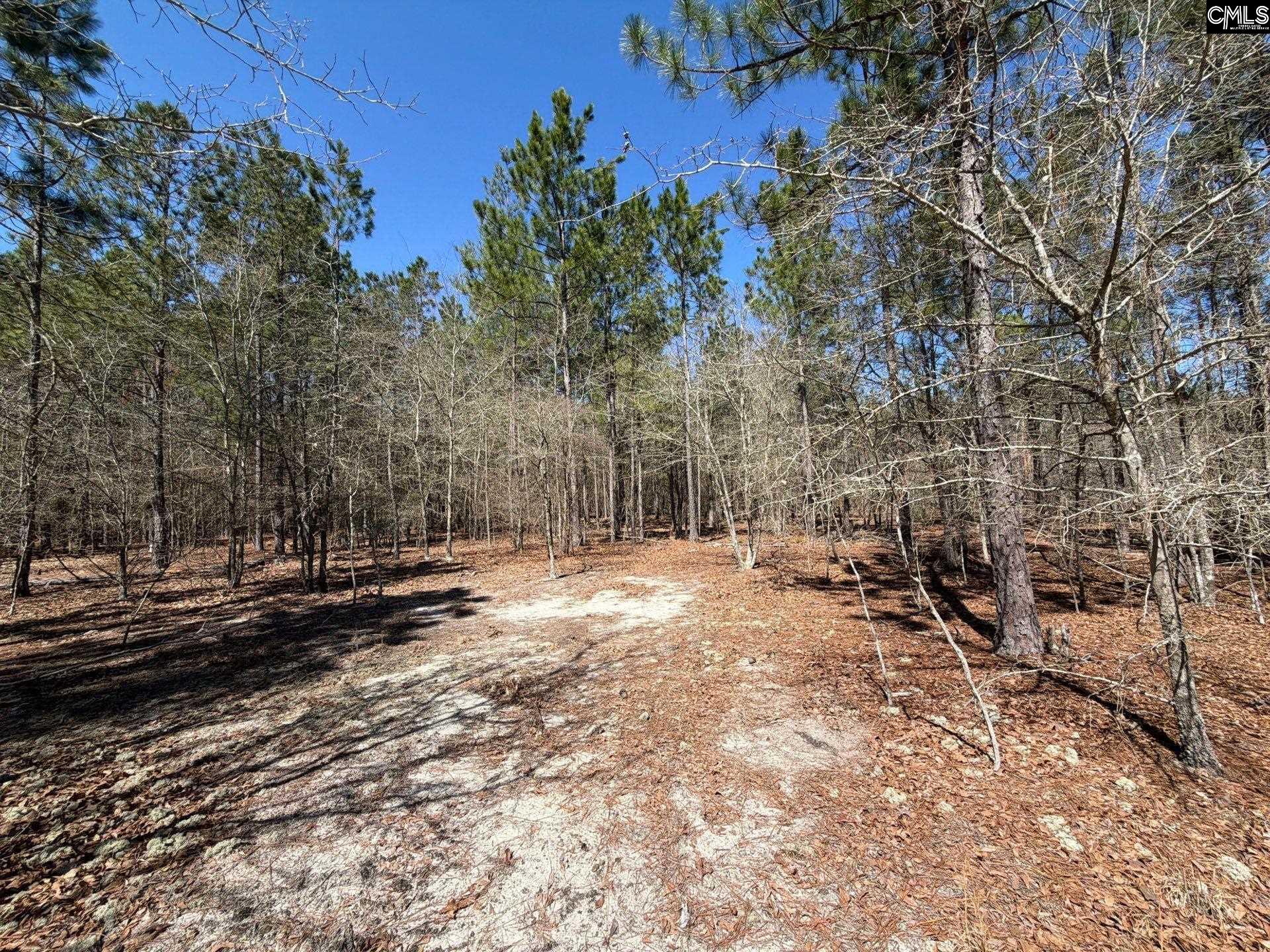 BHL 11 Boise Cascade Road Bethune, SC 29009