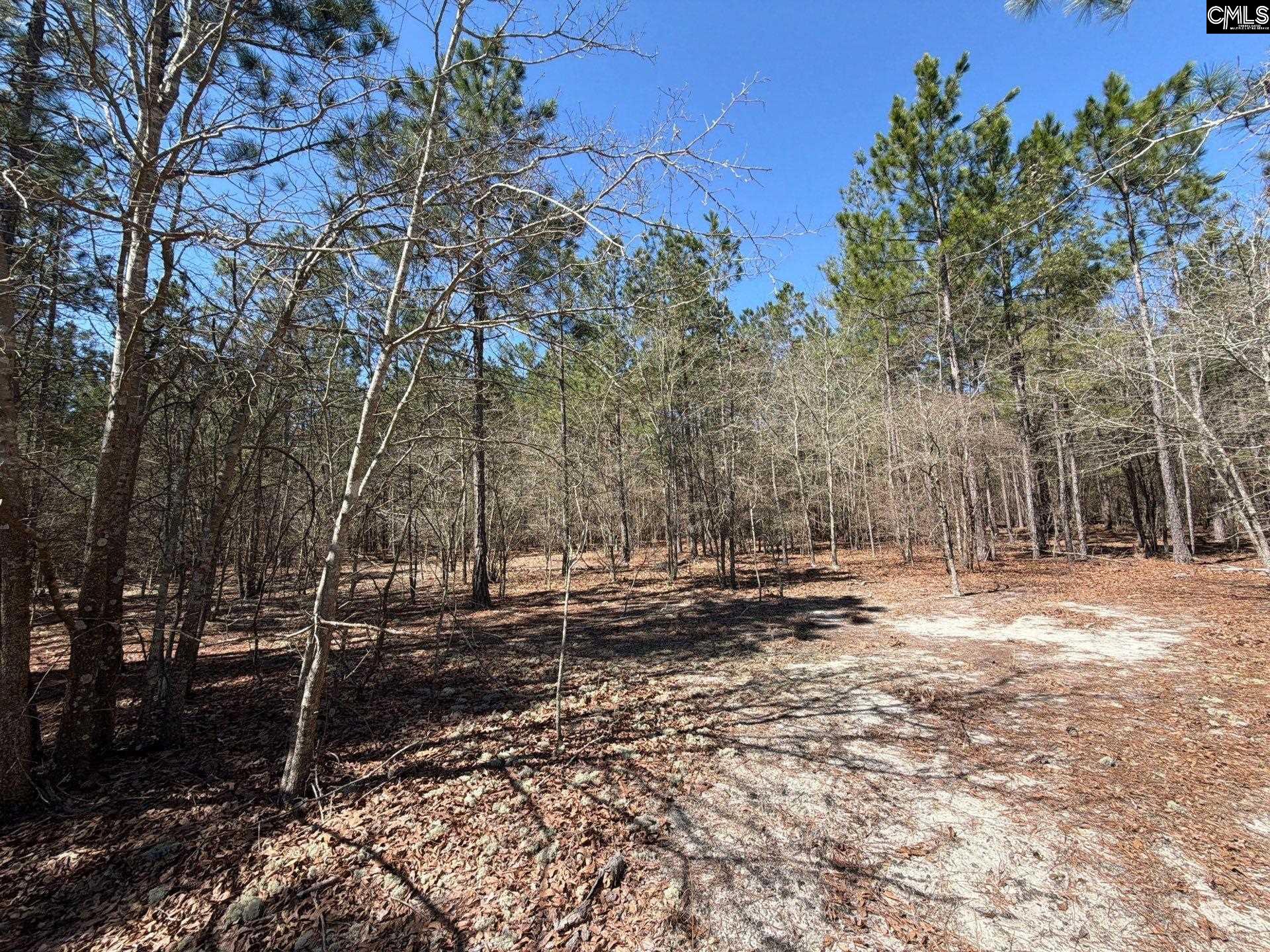 BHL 11 Boise Cascade Road Bethune, SC 29009