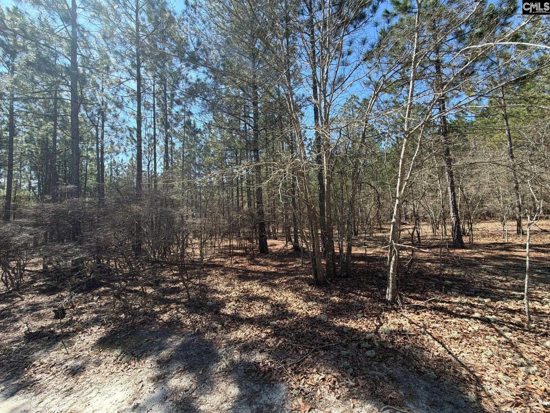 BHL 11 Boise Cascade Road Bethune, SC 29009