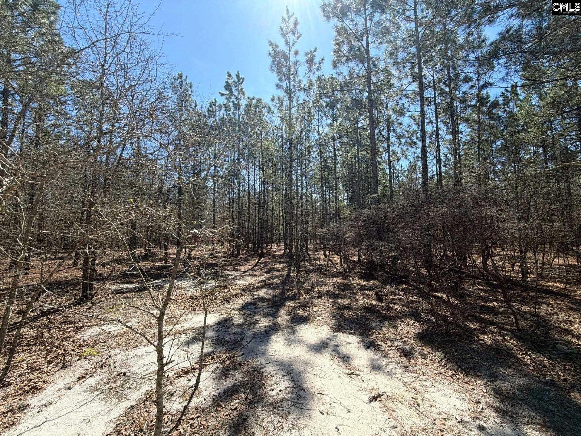 BHL 11 Boise Cascade Road Bethune, SC 29009