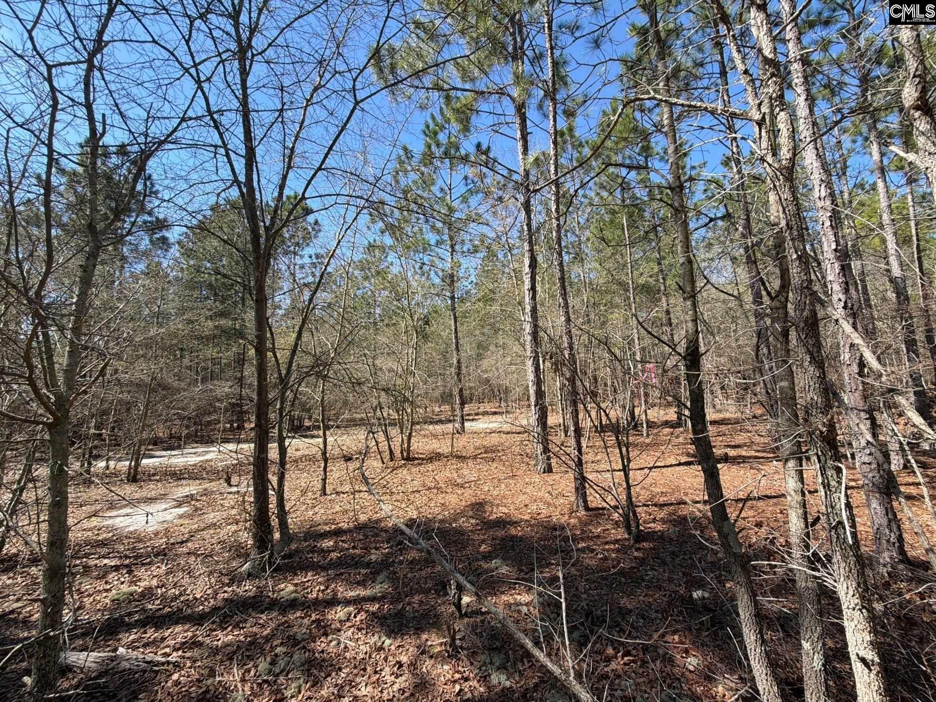 BHL 11 Boise Cascade Road Bethune, SC 29009