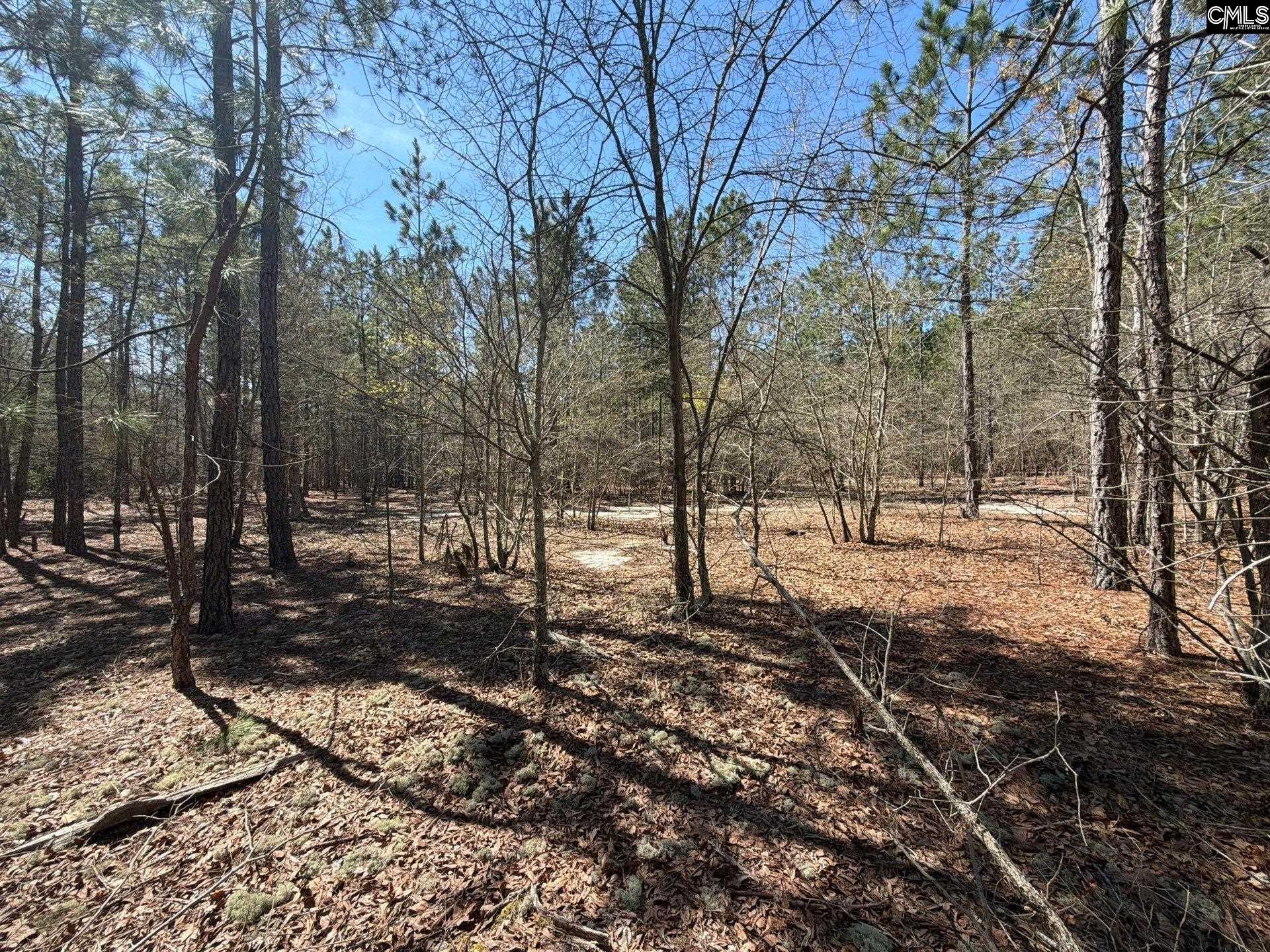 BHL 11 Boise Cascade Road Bethune, SC 29009