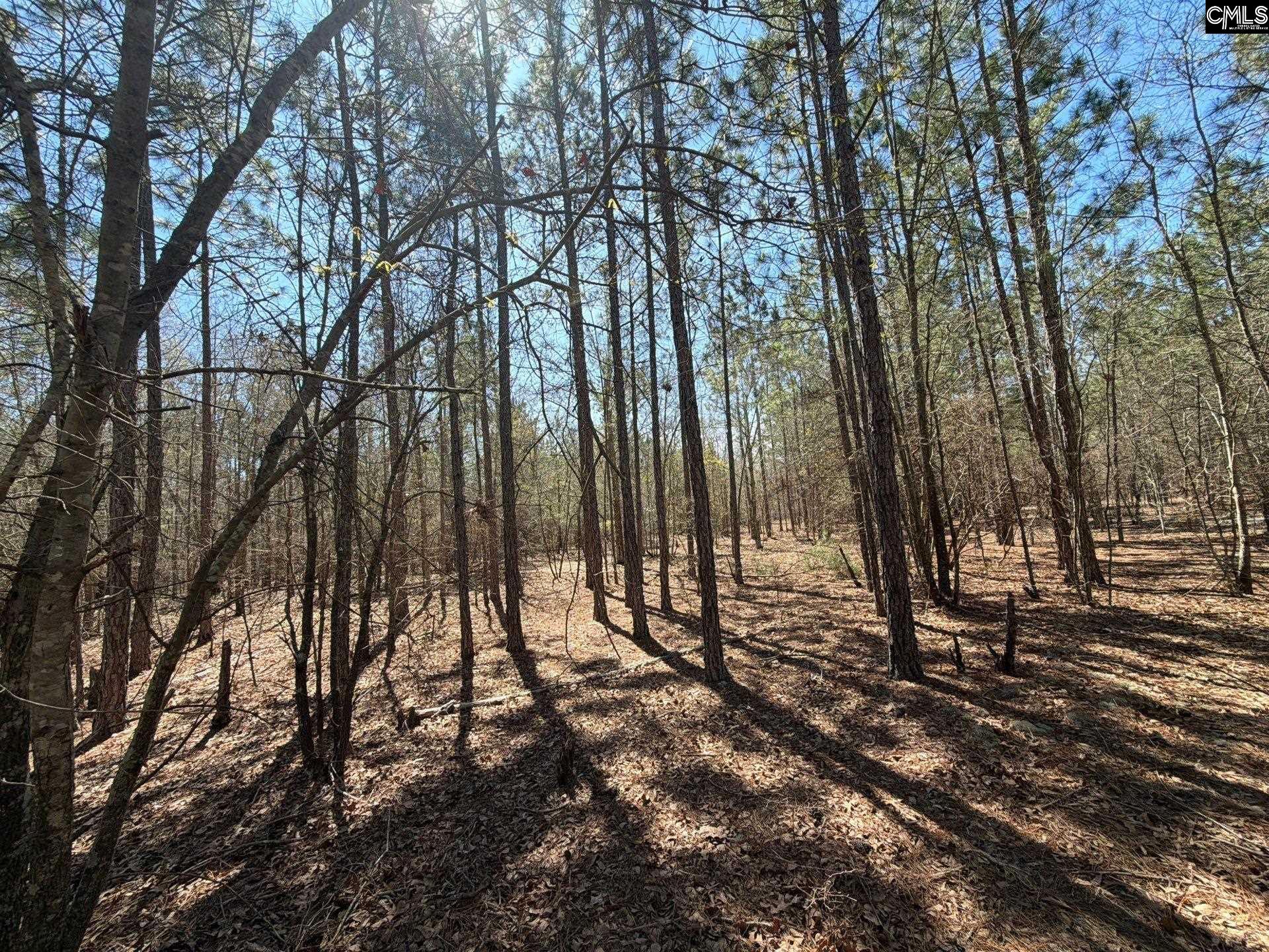 BHL 11 Boise Cascade Road Bethune, SC 29009