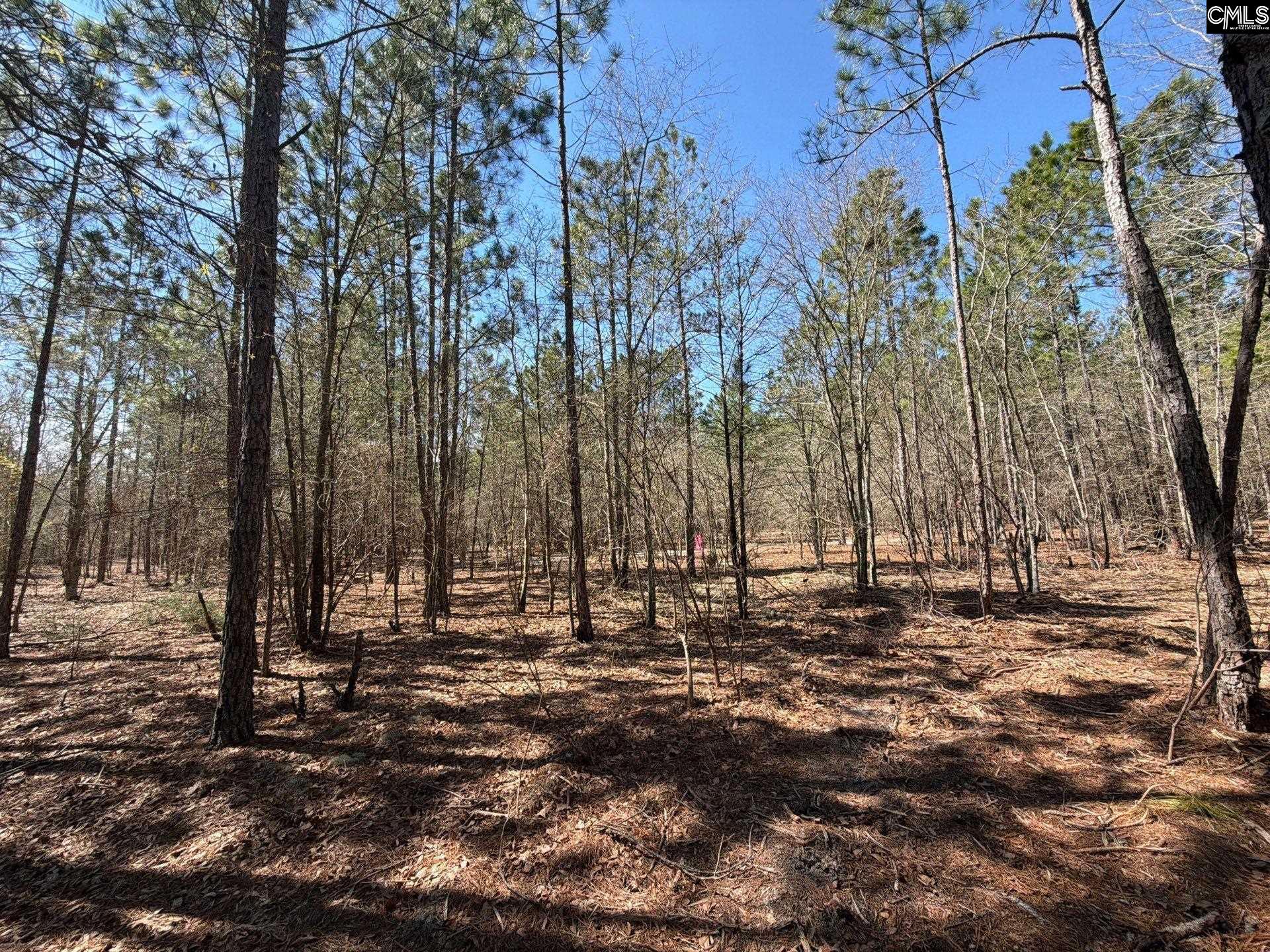 BHL 11 Boise Cascade Road Bethune, SC 29009