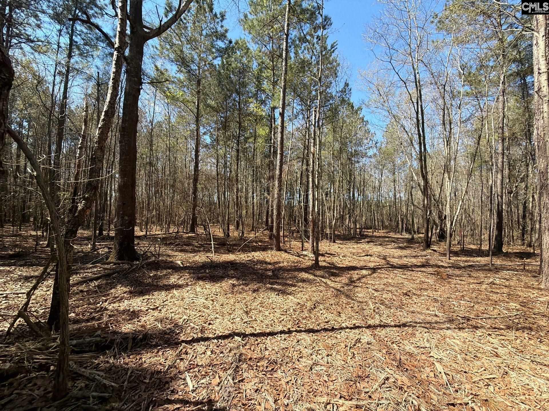 BHL 11 Boise Cascade Road Bethune, SC 29009