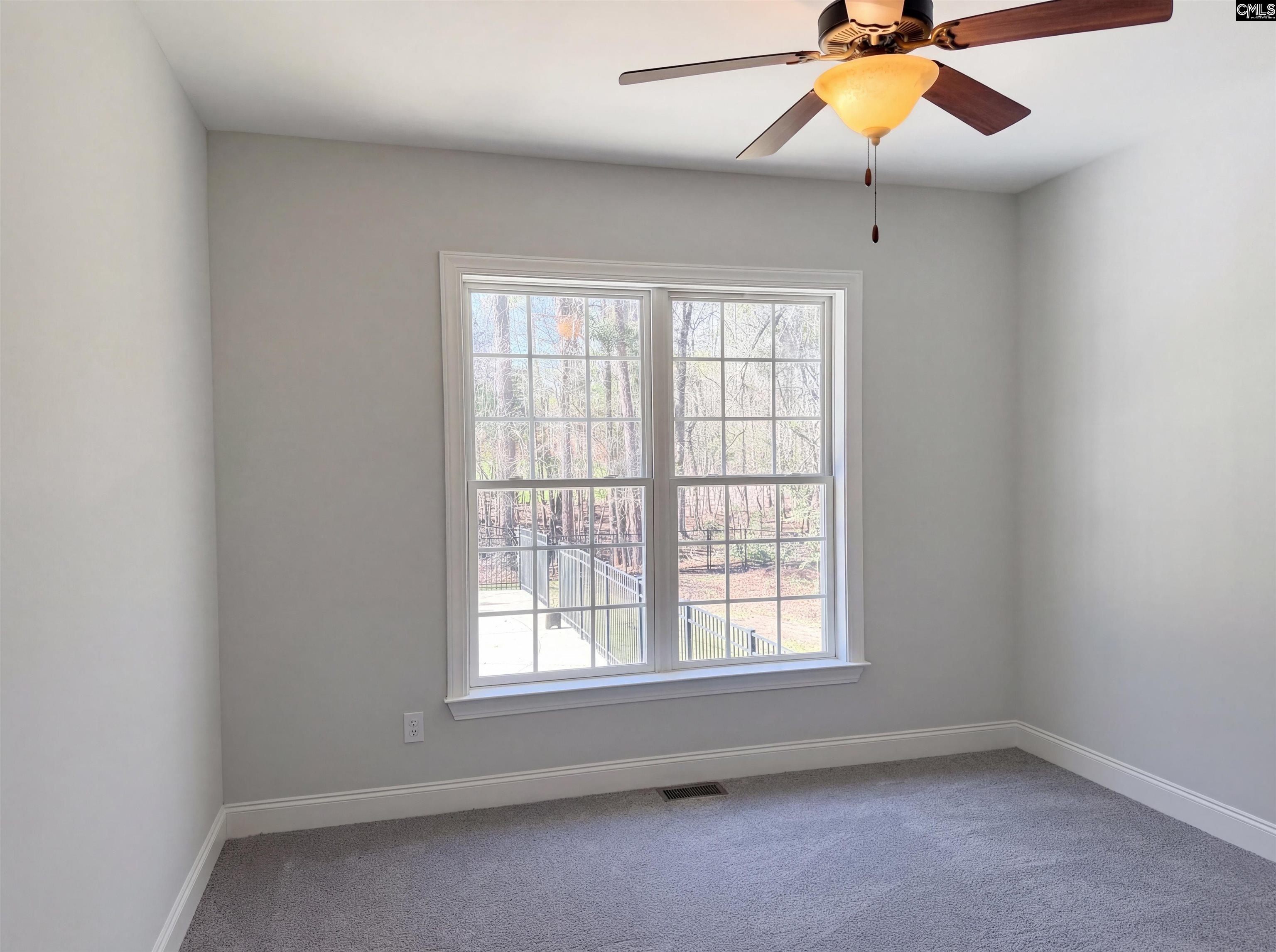 852 Indian Fork Road Chapin, SC 29036