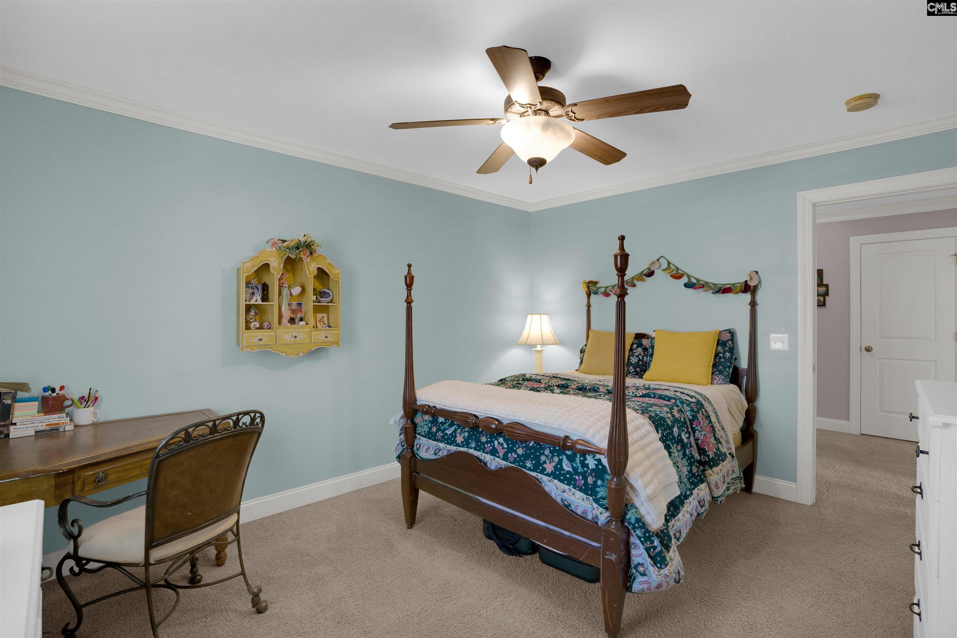 202 Lake Hilton Drive Chapin, SC 29036