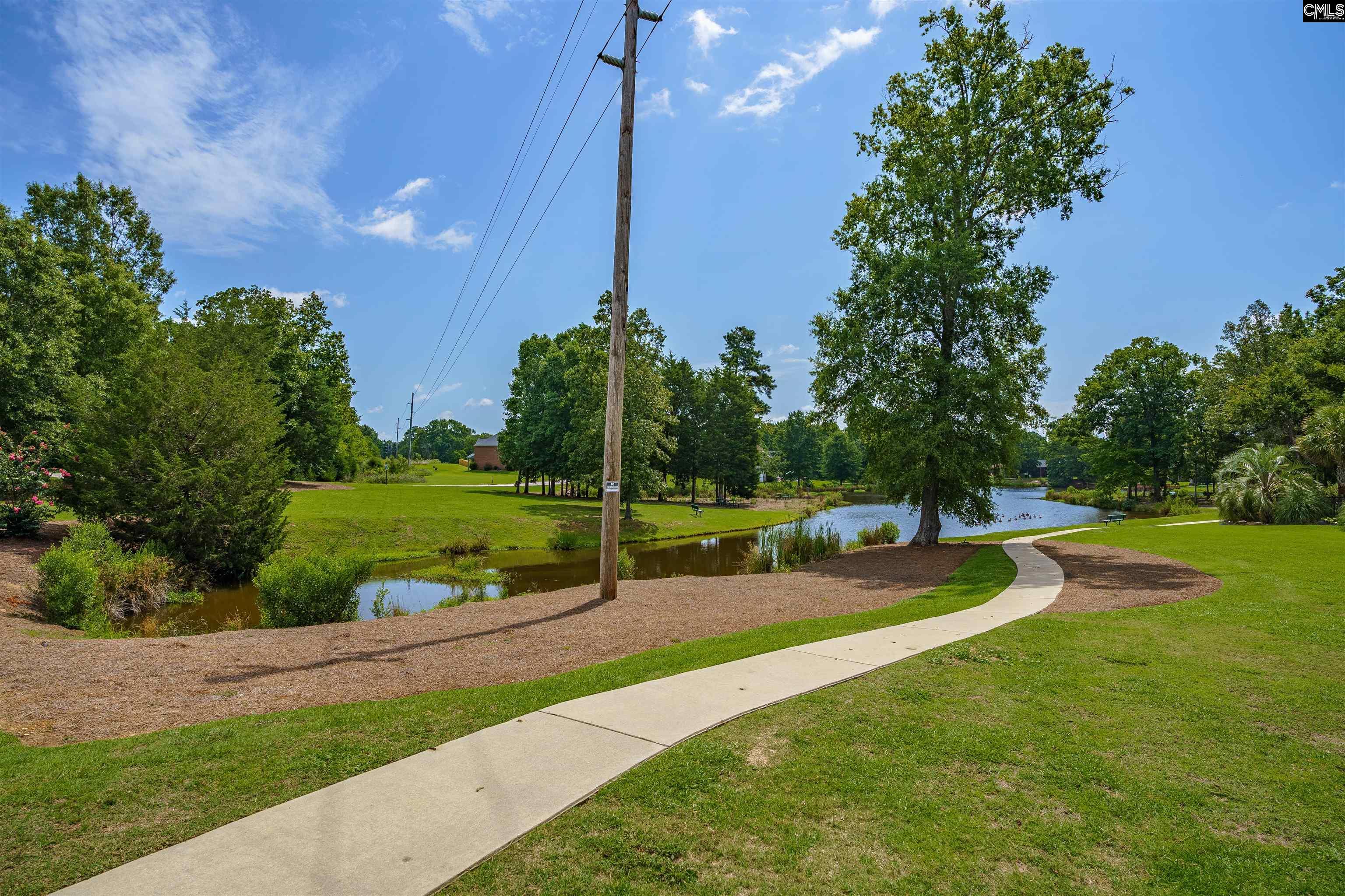 202 Lake Hilton Drive Chapin, SC 29036