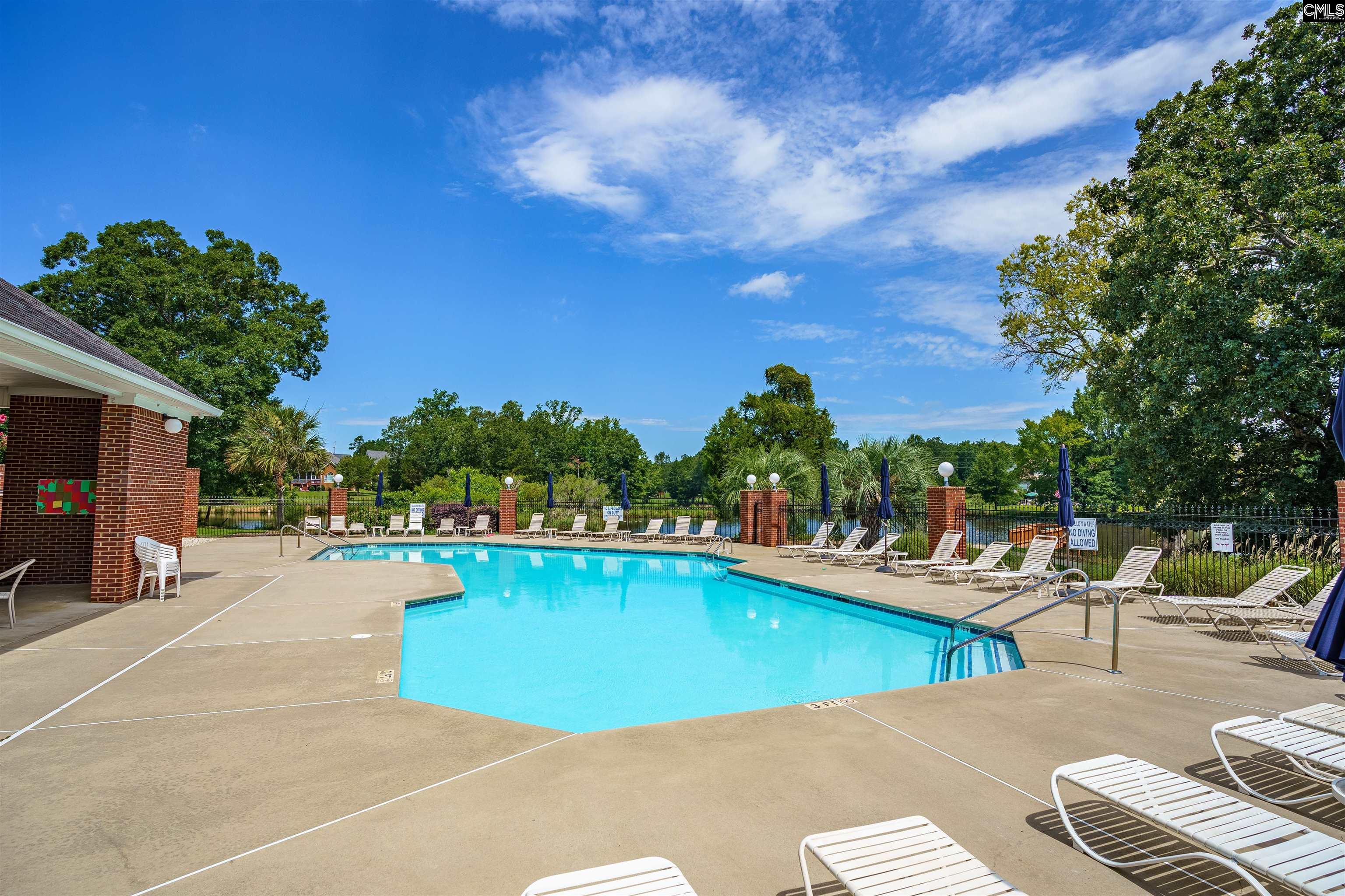 202 Lake Hilton Drive Chapin, SC 29036