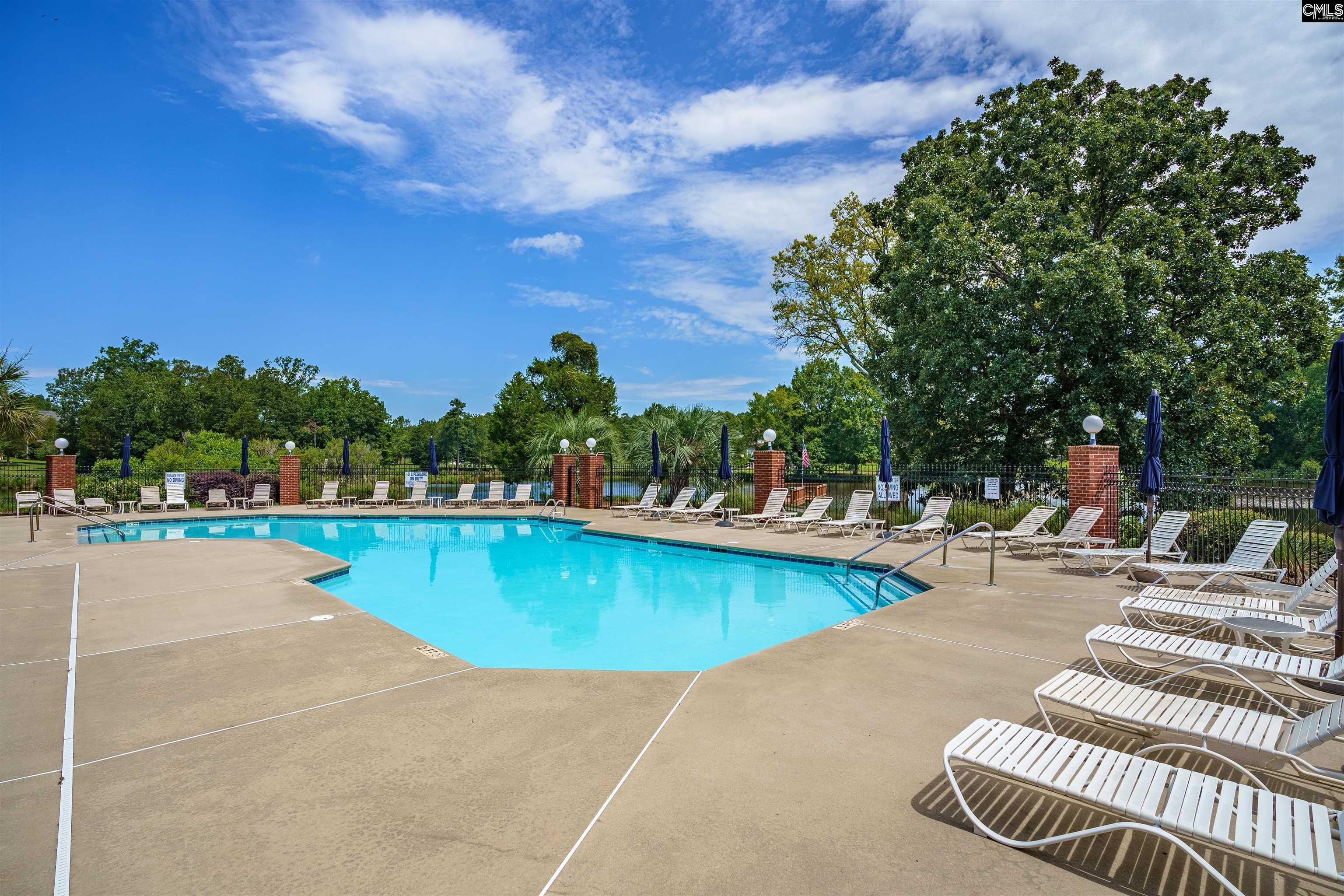 202 Lake Hilton Drive Chapin, SC 29036