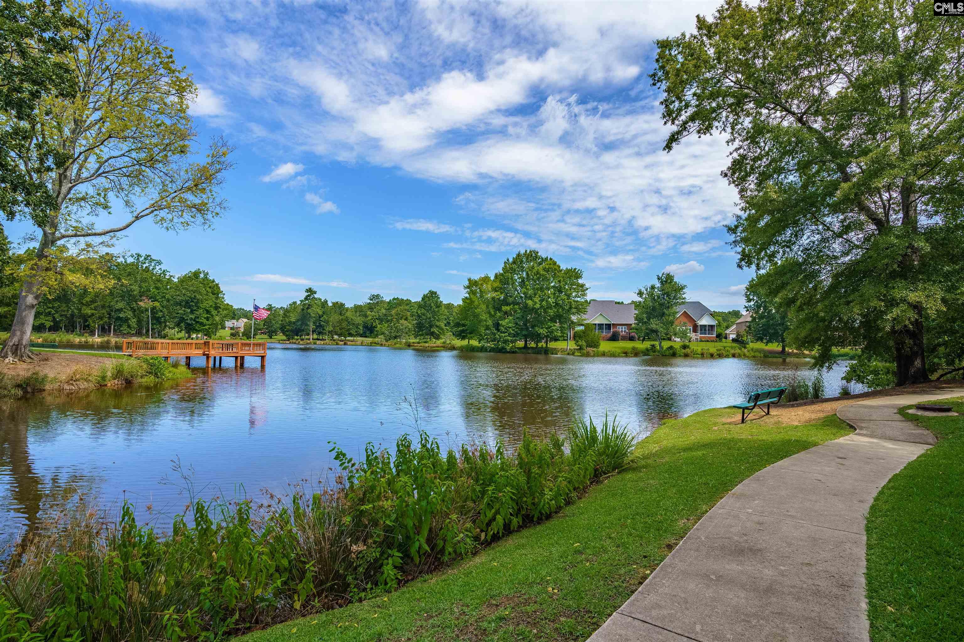 202 Lake Hilton Drive Chapin, SC 29036