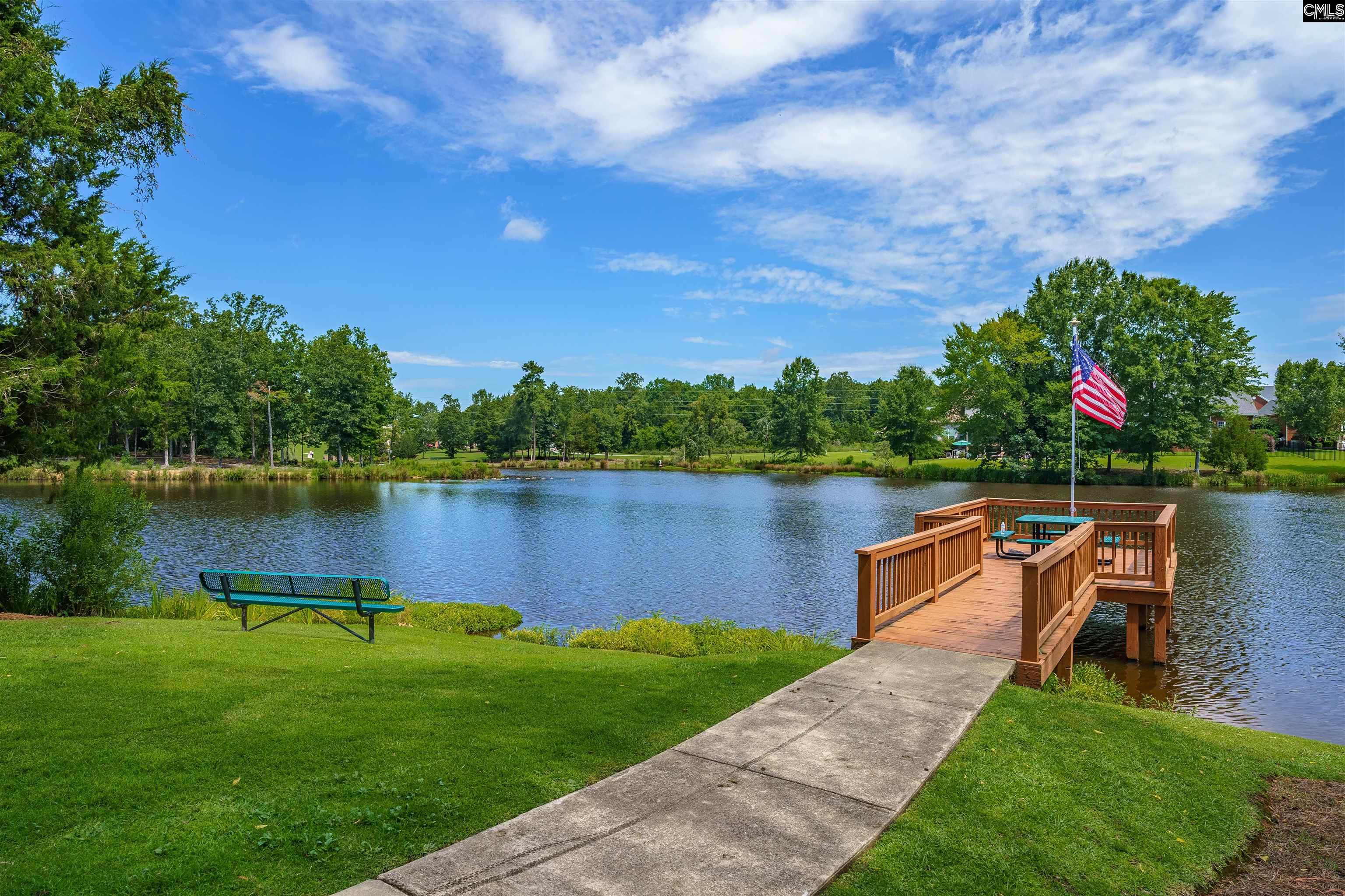 202 Lake Hilton Drive Chapin, SC 29036