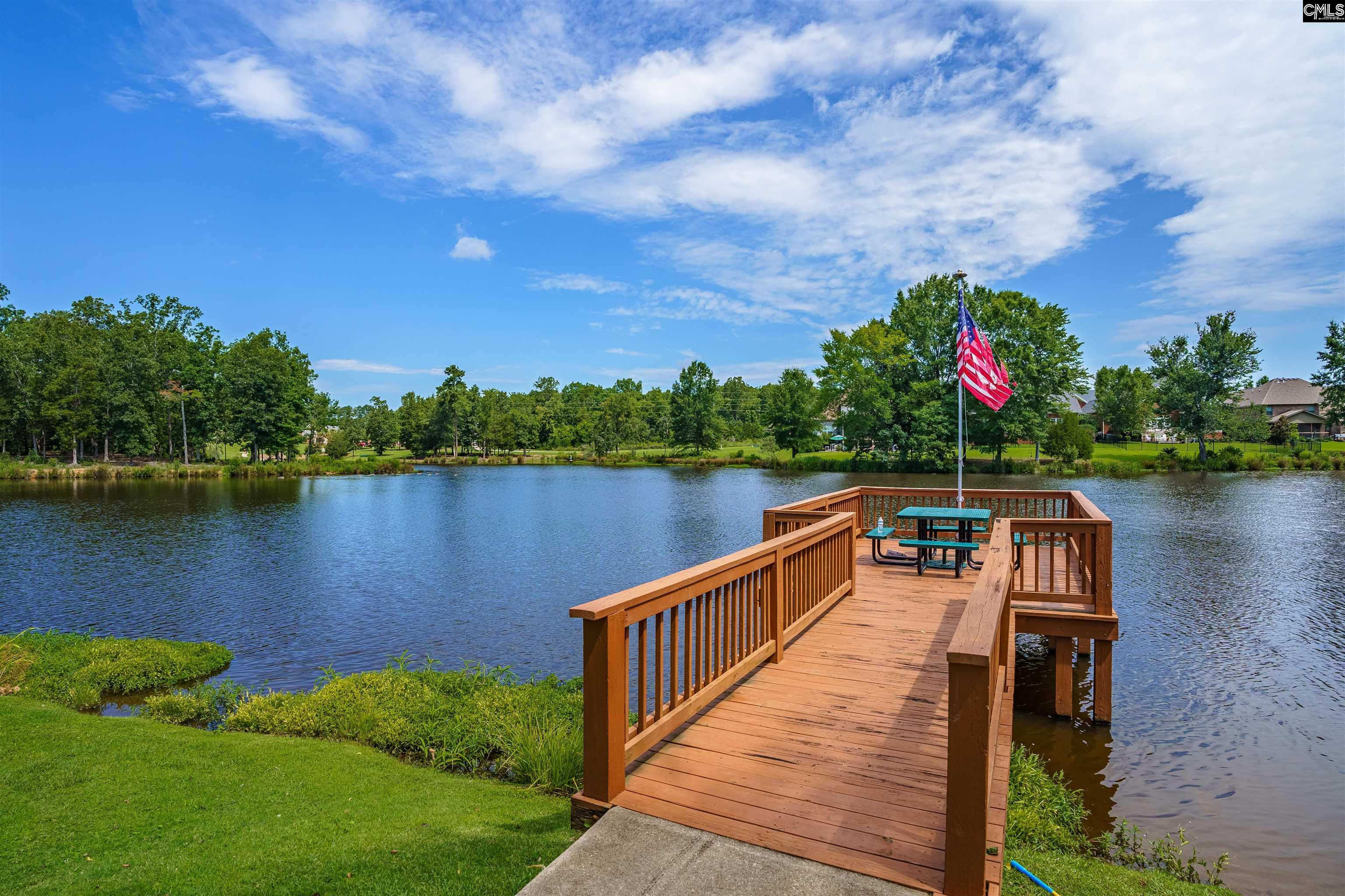 202 Lake Hilton Drive Chapin, SC 29036