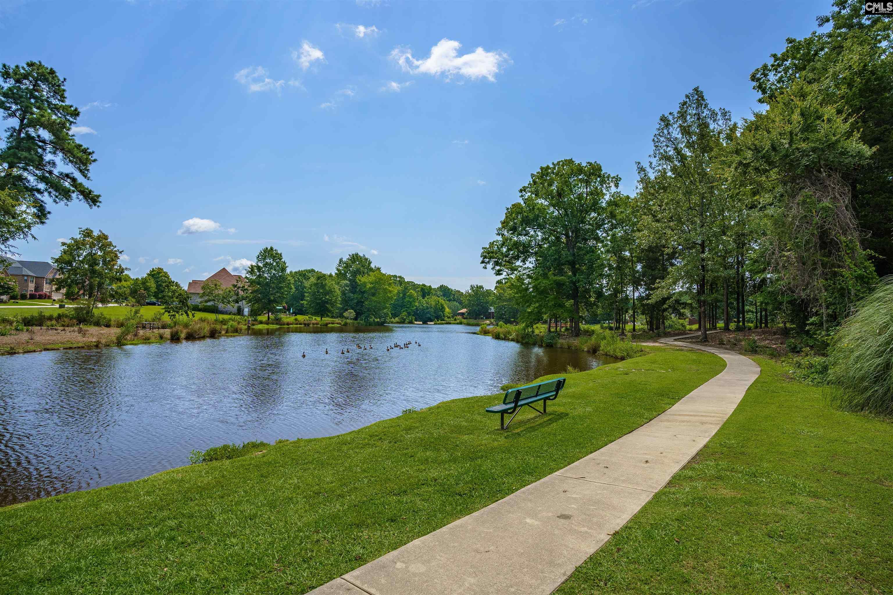 202 Lake Hilton Drive Chapin, SC 29036