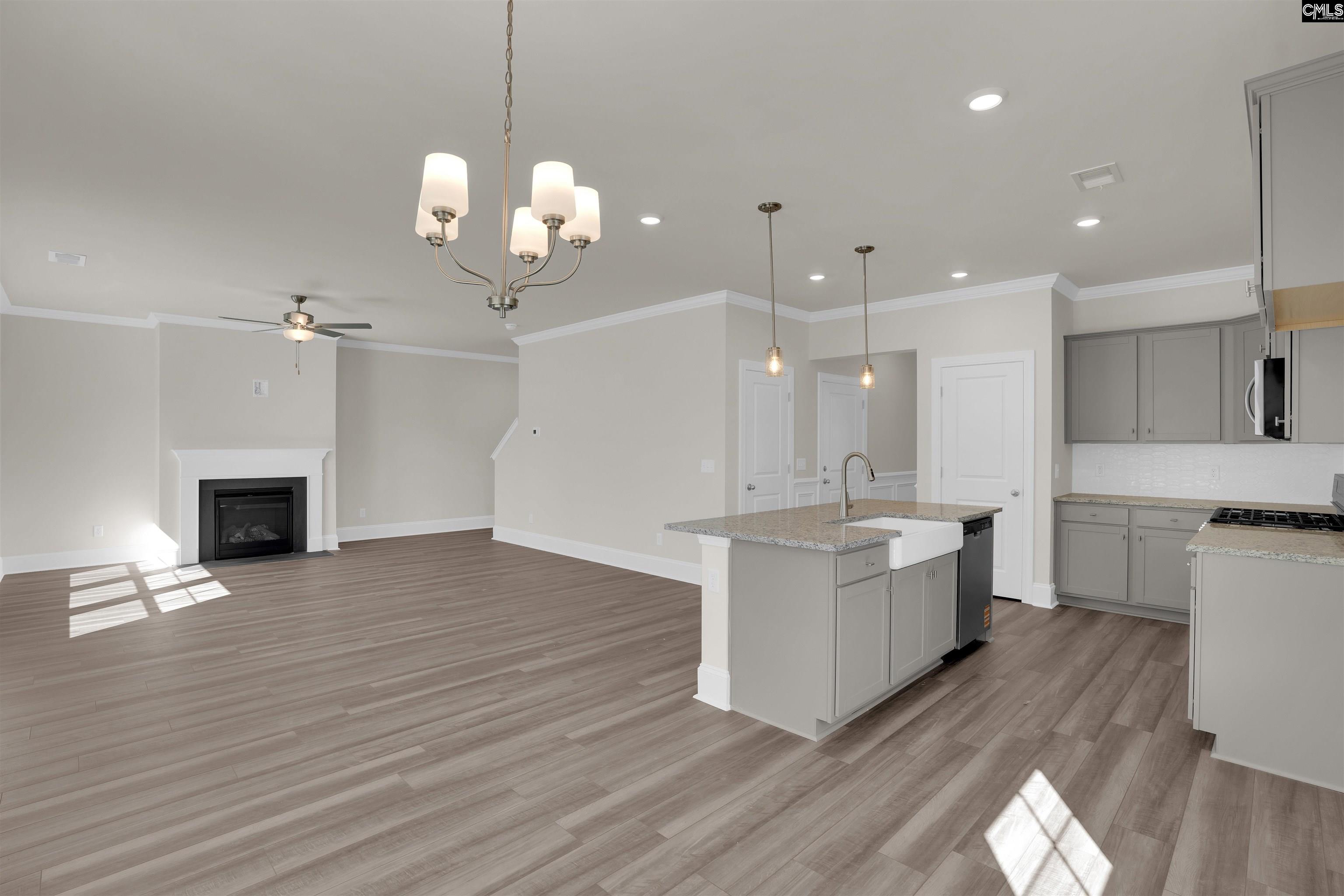618 Griffon Drive Chapin, SC 29036