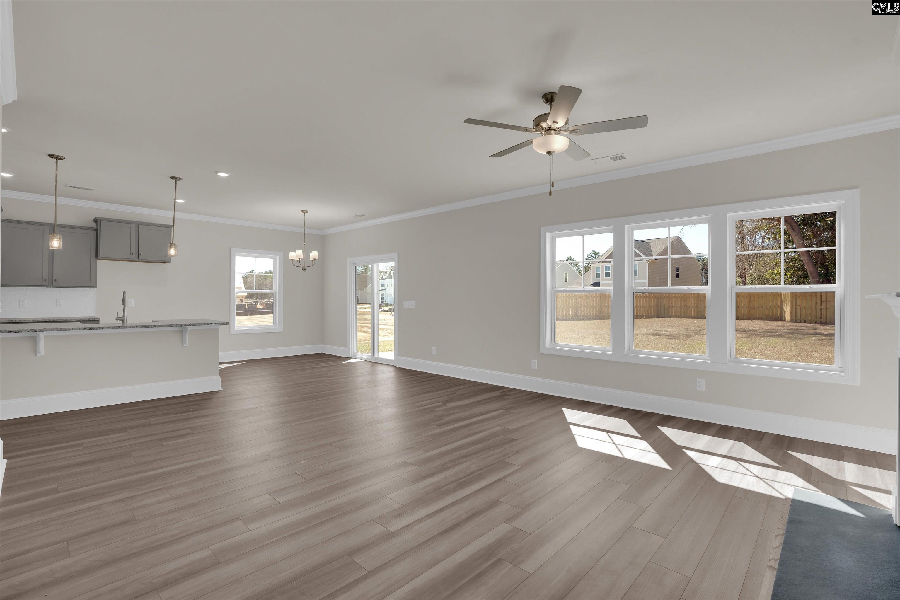 618 Griffon Drive Chapin, SC 29036
