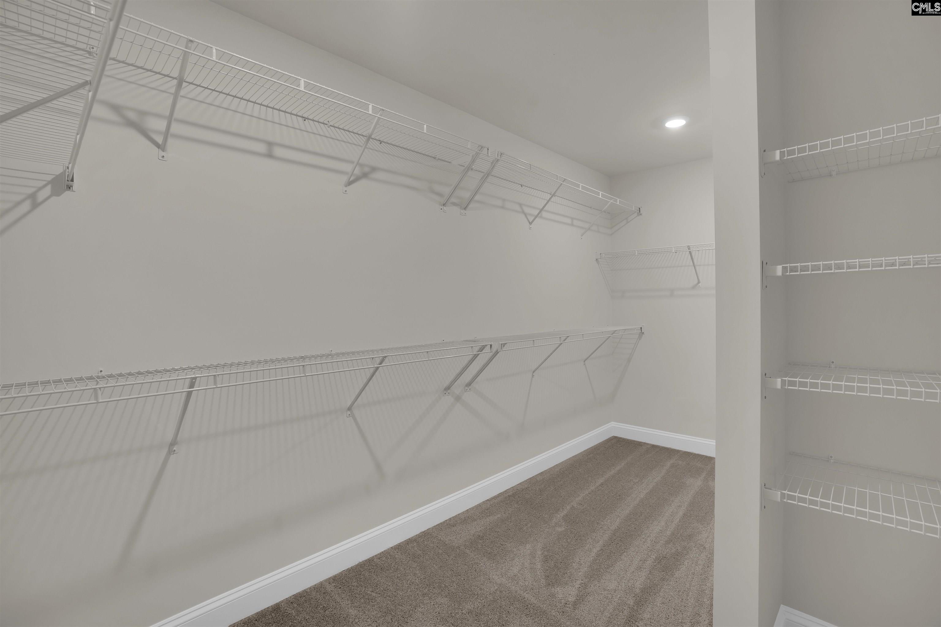 618 Griffon Drive Chapin, SC 29036