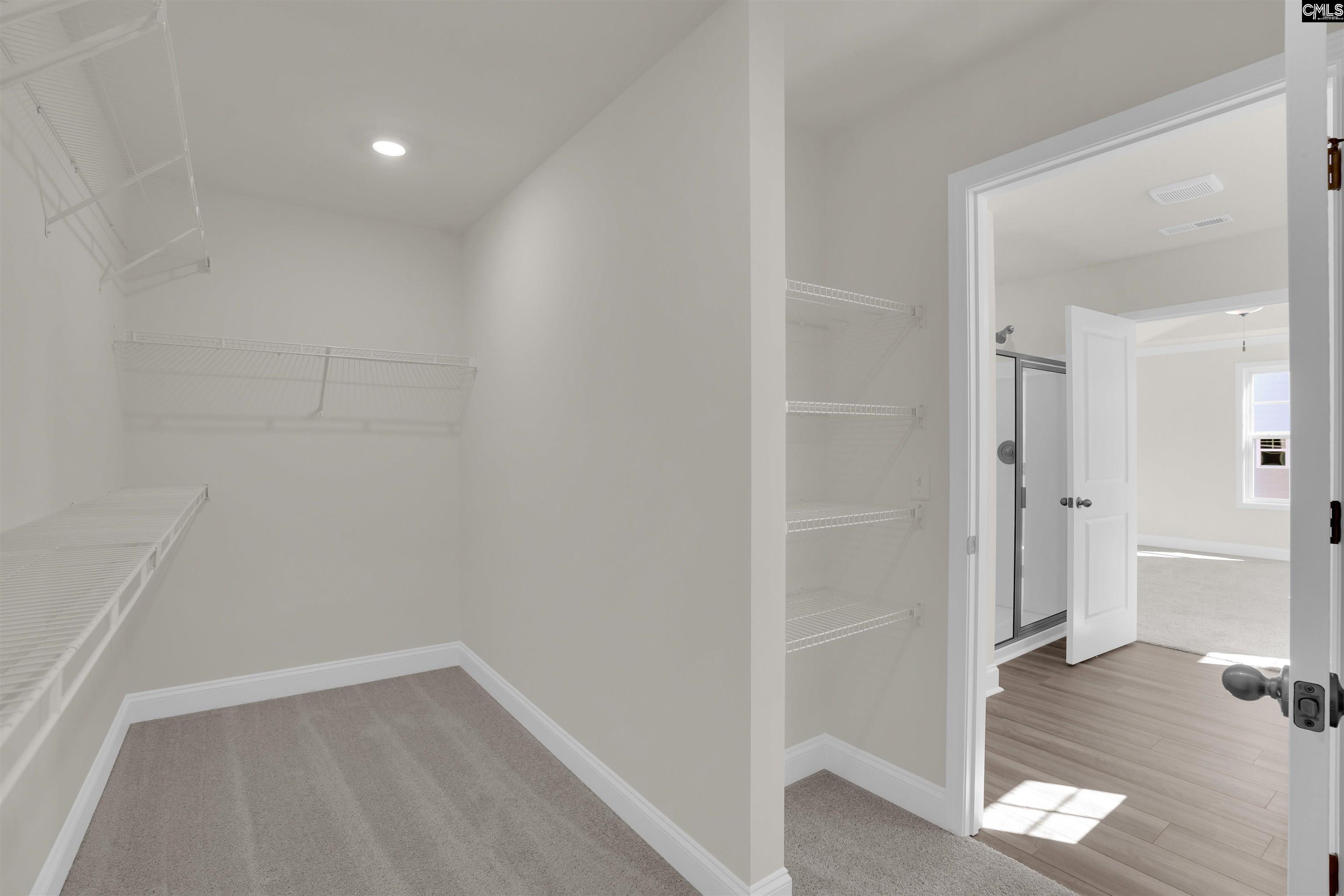 618 Griffon Drive Chapin, SC 29036