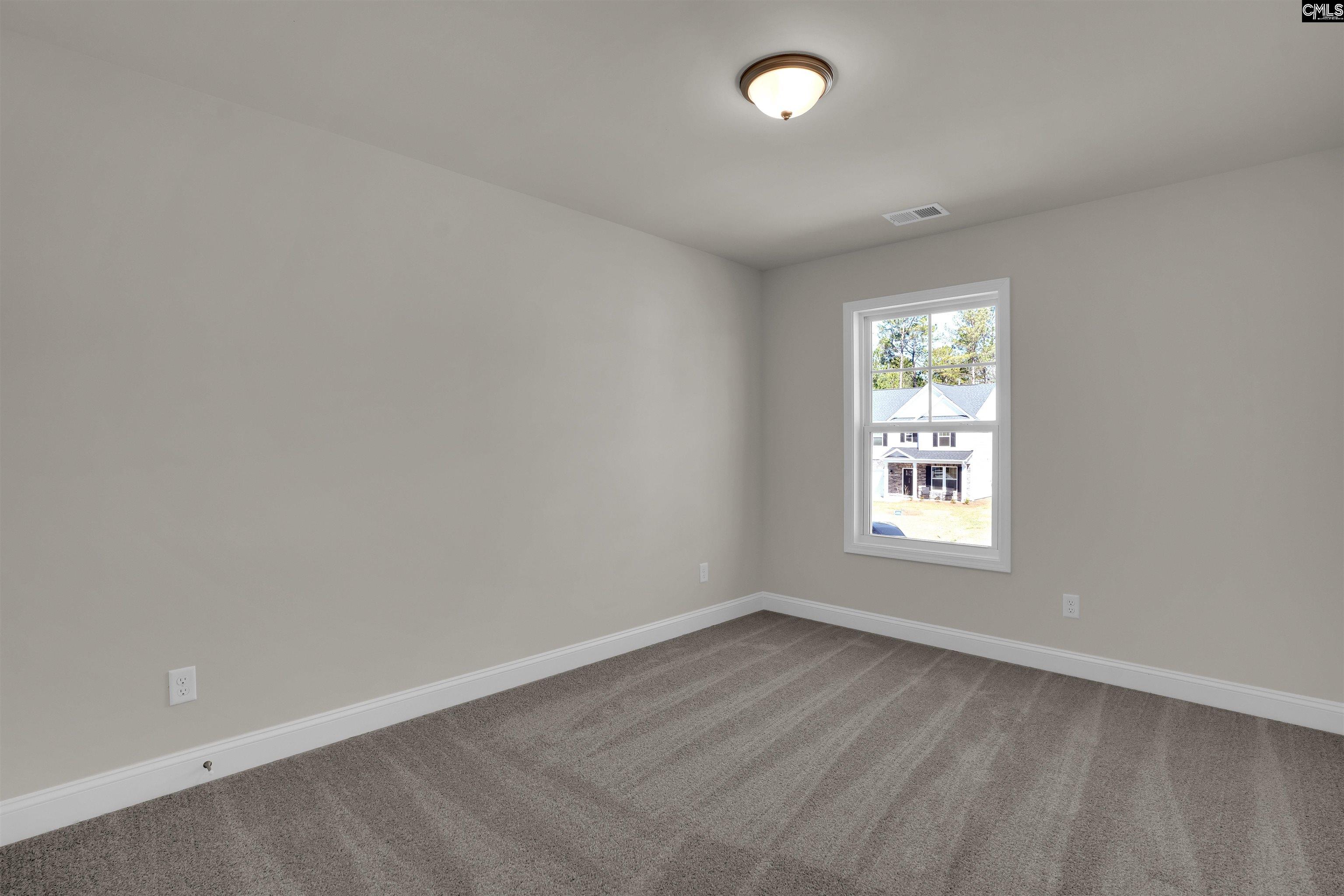 618 Griffon Drive Chapin, SC 29036