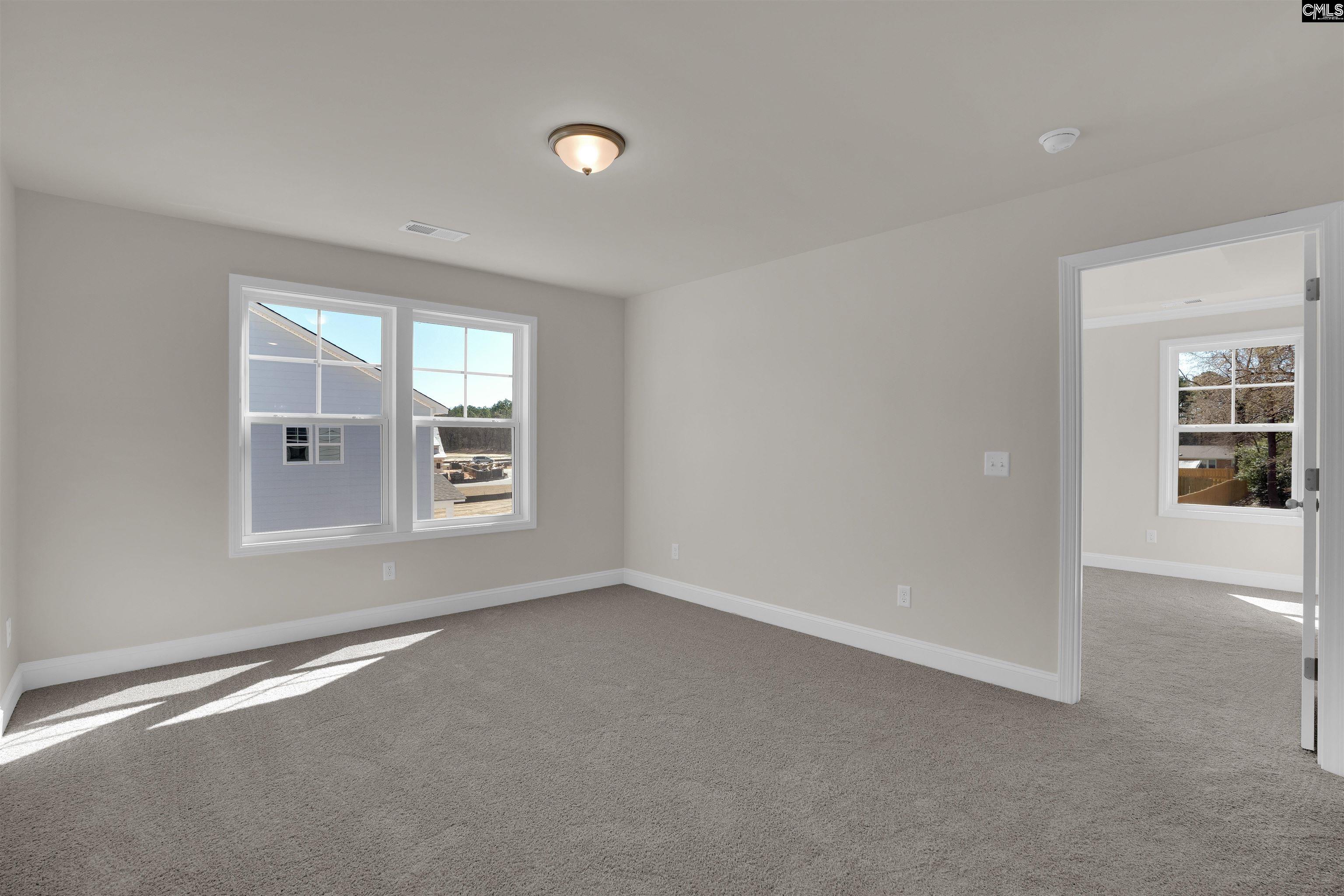 618 Griffon Drive Chapin, SC 29036