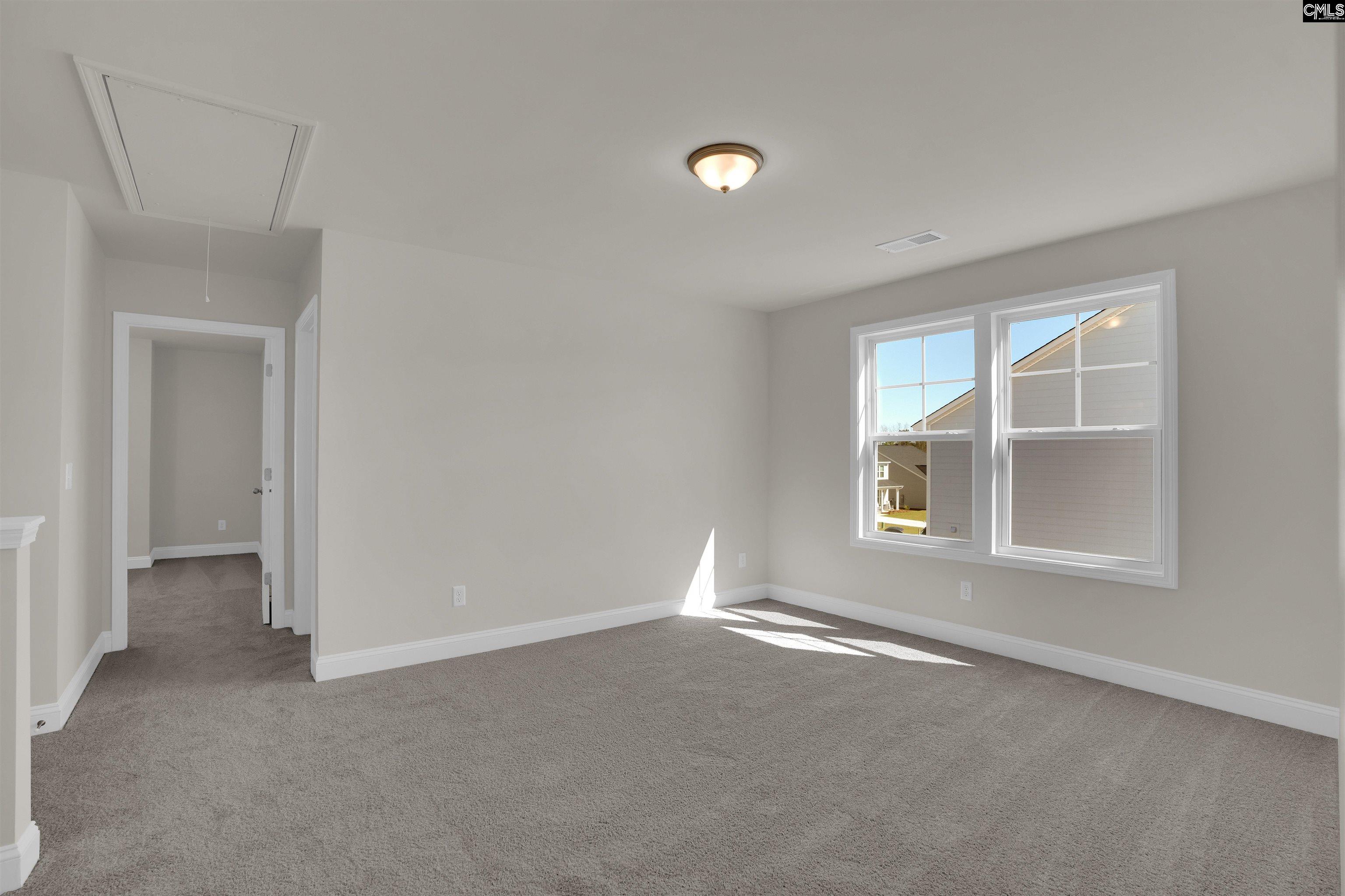 618 Griffon Drive Chapin, SC 29036