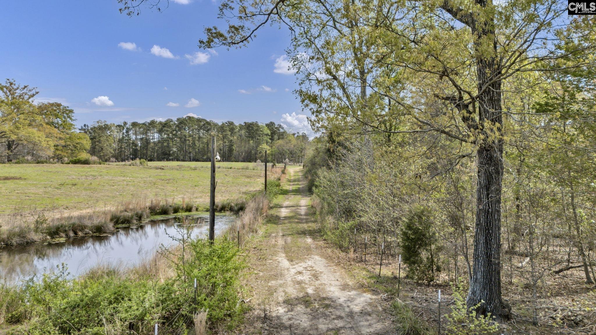 421 & 0 Shore Road Gilbert, SC 29054