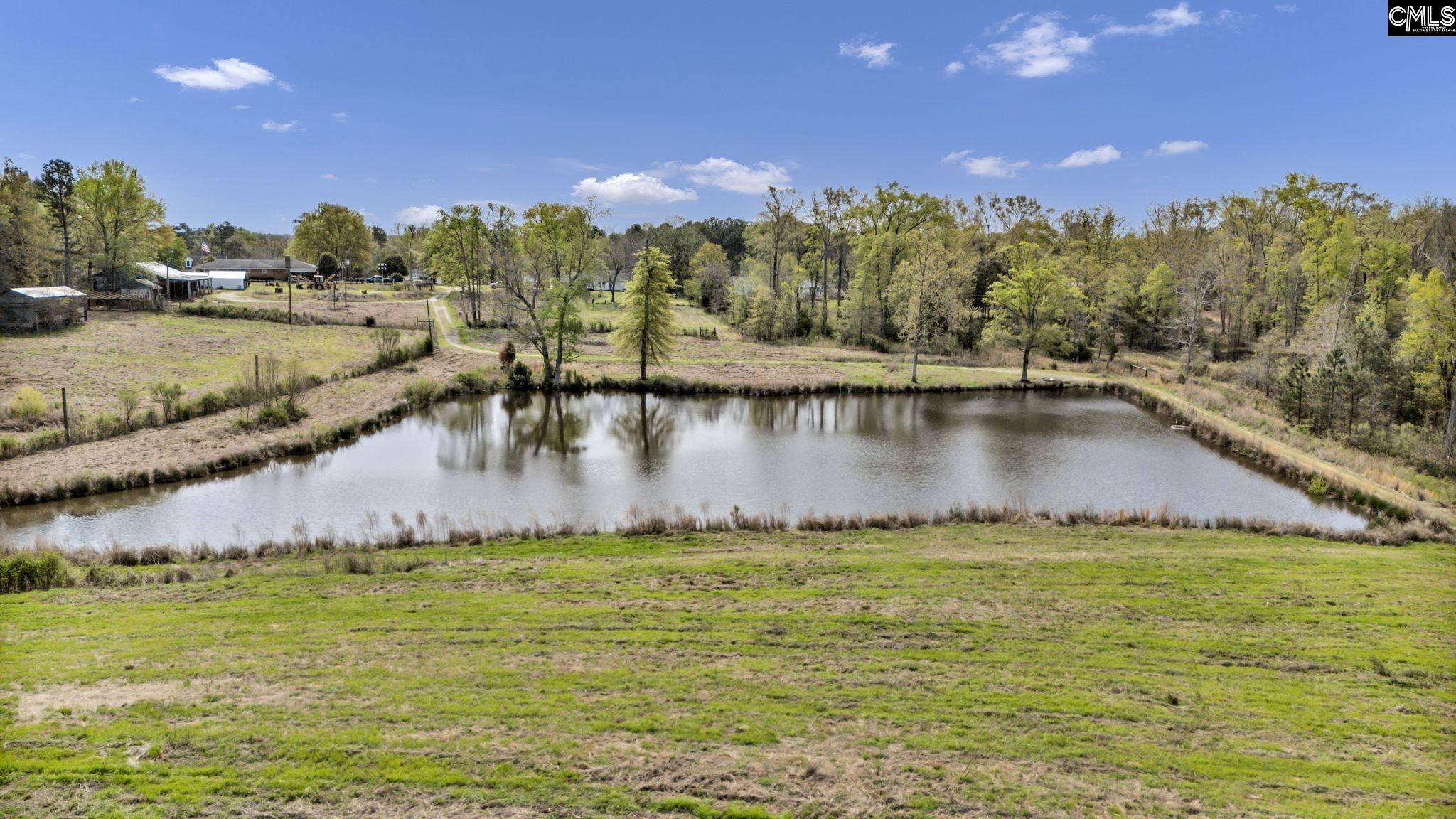 421 & 0 Shore Road Gilbert, SC 29054