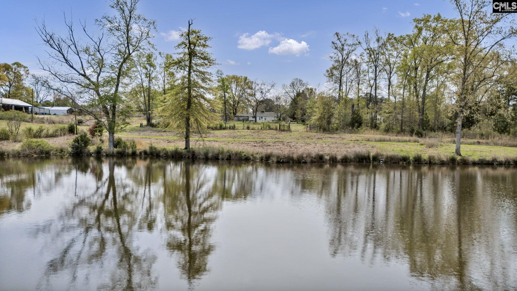 421 & 0 Shore Road Gilbert, SC 29054