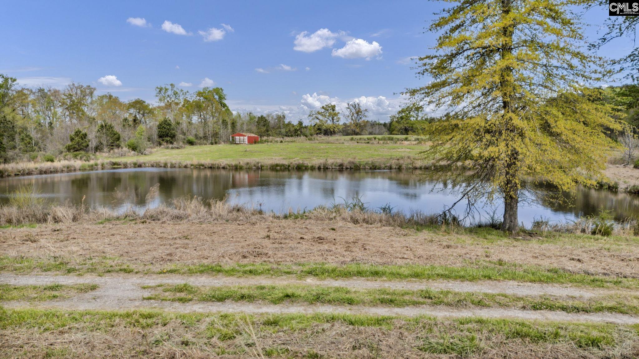 421 & 0 Shore Road Gilbert, SC 29054