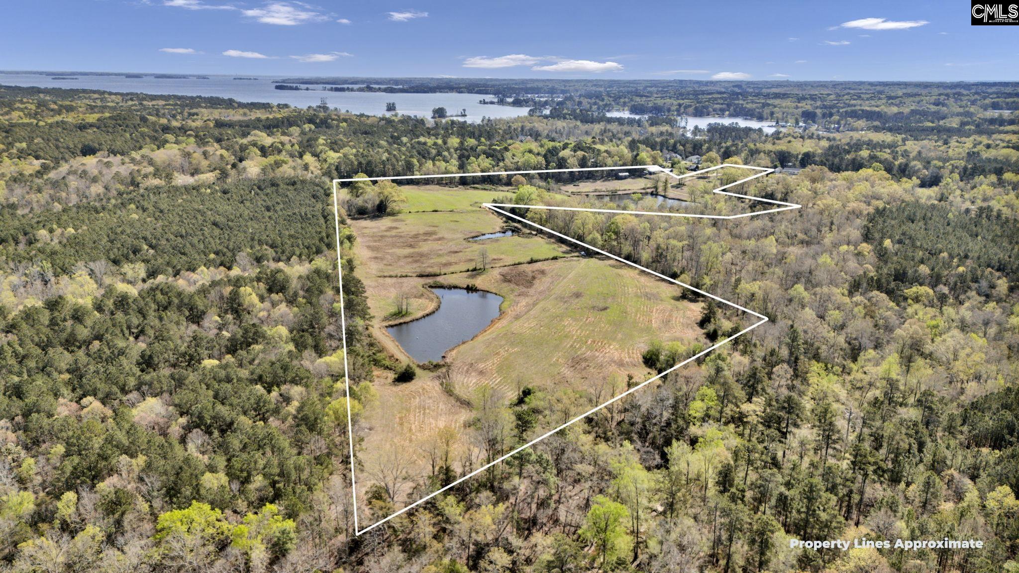 421 & 0 Shore Road Gilbert, SC 29054