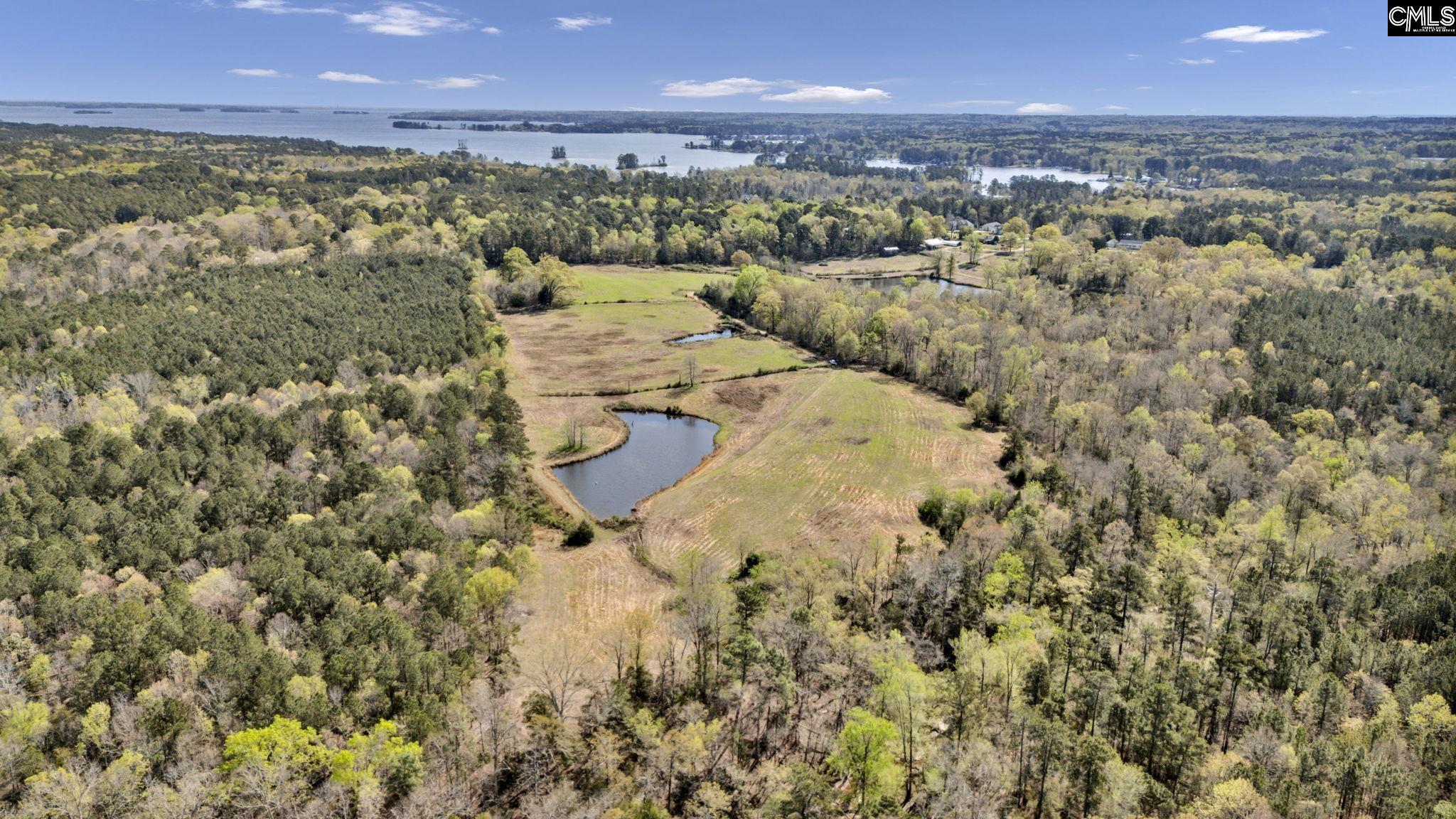 421 & 0 Shore Road Gilbert, SC 29054