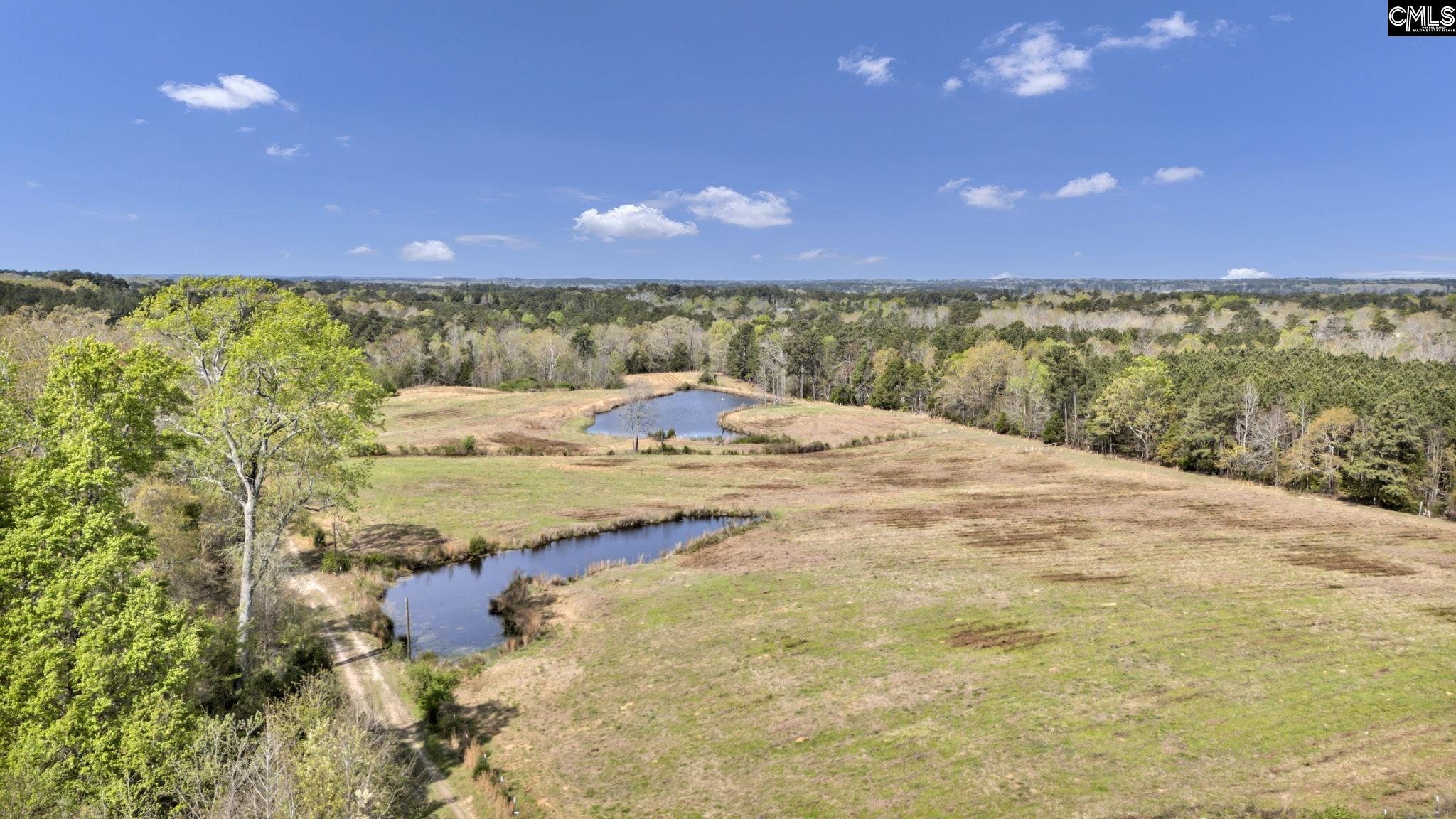 421 & 0 Shore Road Gilbert, SC 29054