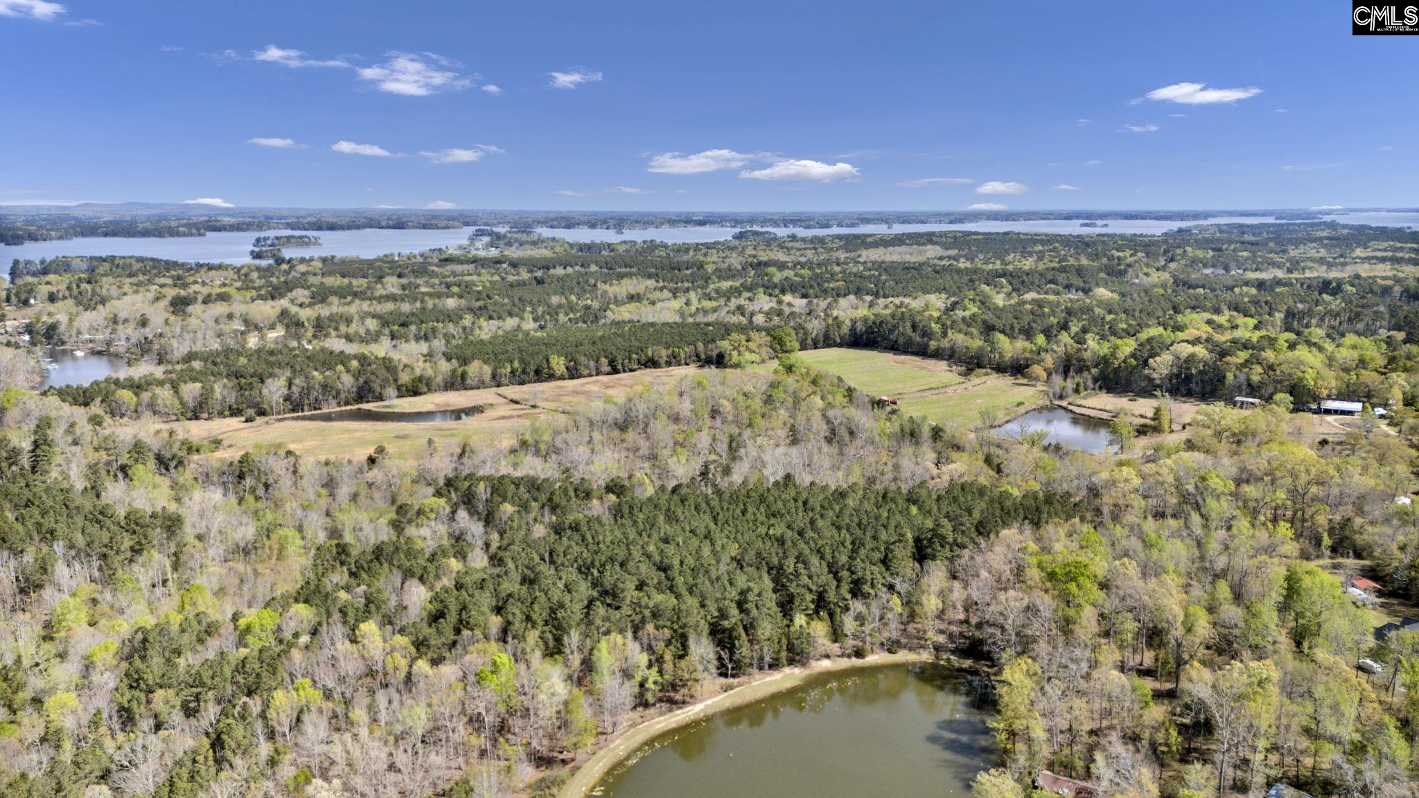 421 & 0 Shore Road Gilbert, SC 29054