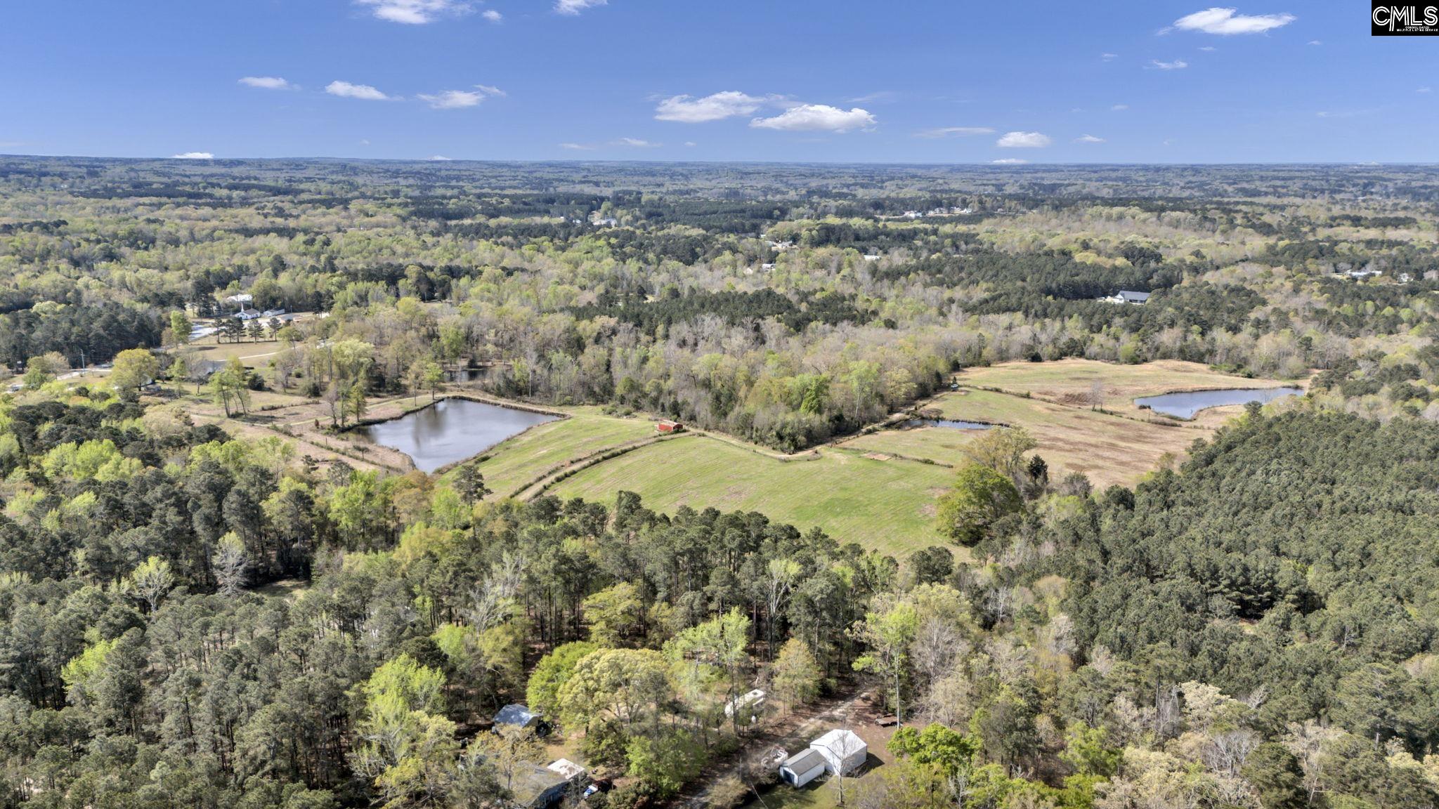 421 & 0 Shore Road Gilbert, SC 29054