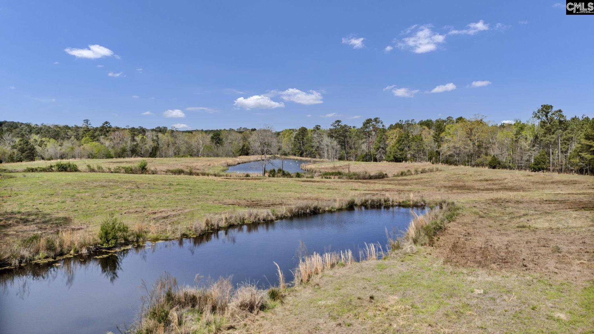 421 & 0 Shore Road Gilbert, SC 29054