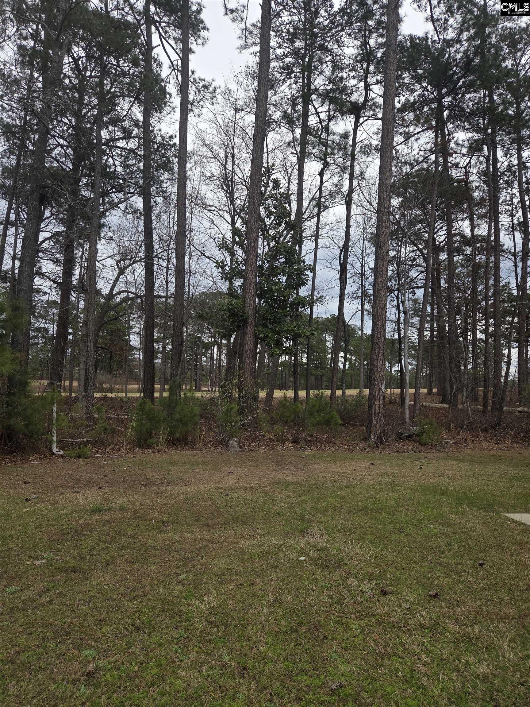 765 Club Cottage Drive Blythewood, SC 29016