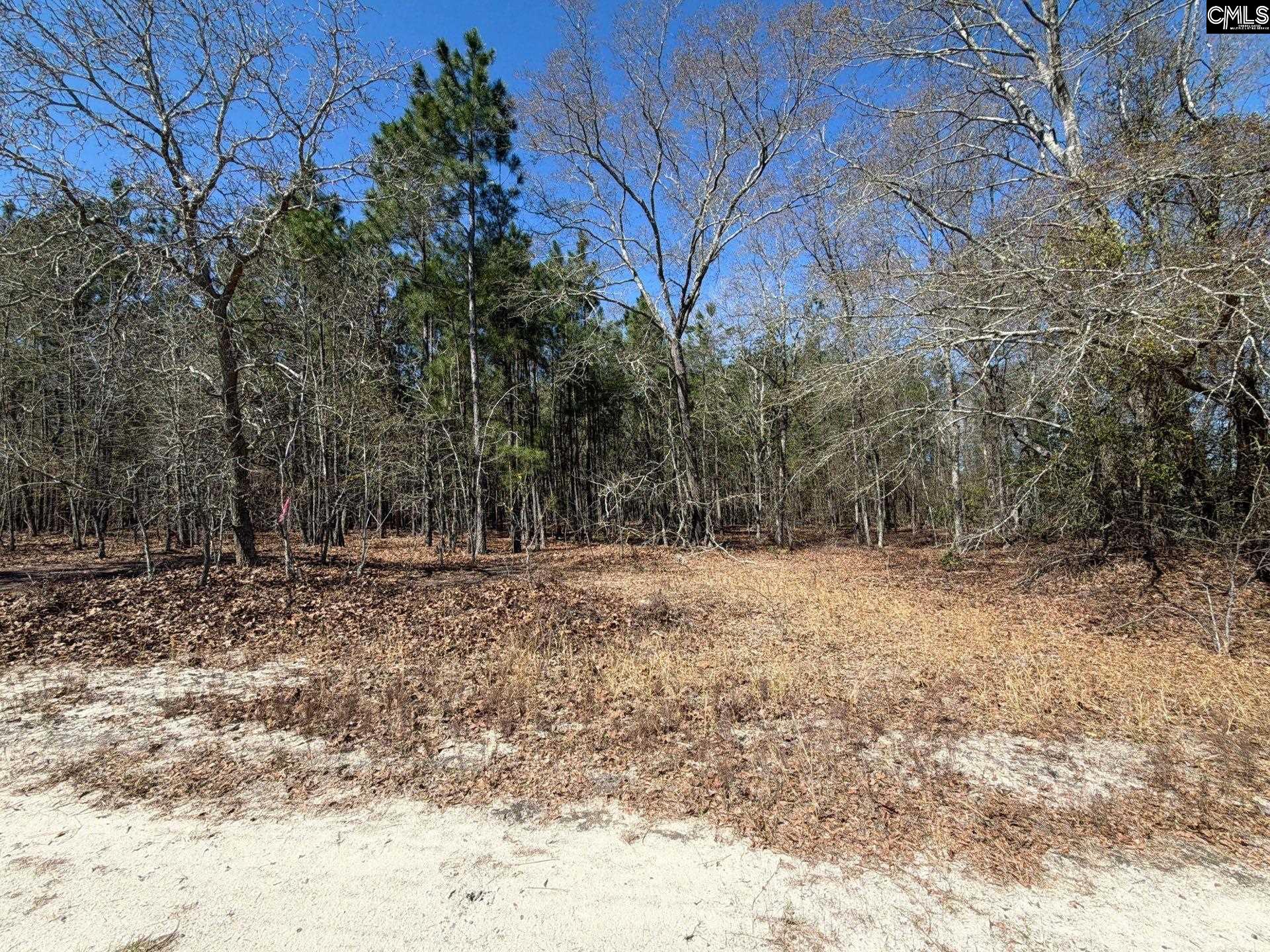 BHL 12 Boise Cascade Road Bethune, SC 29009