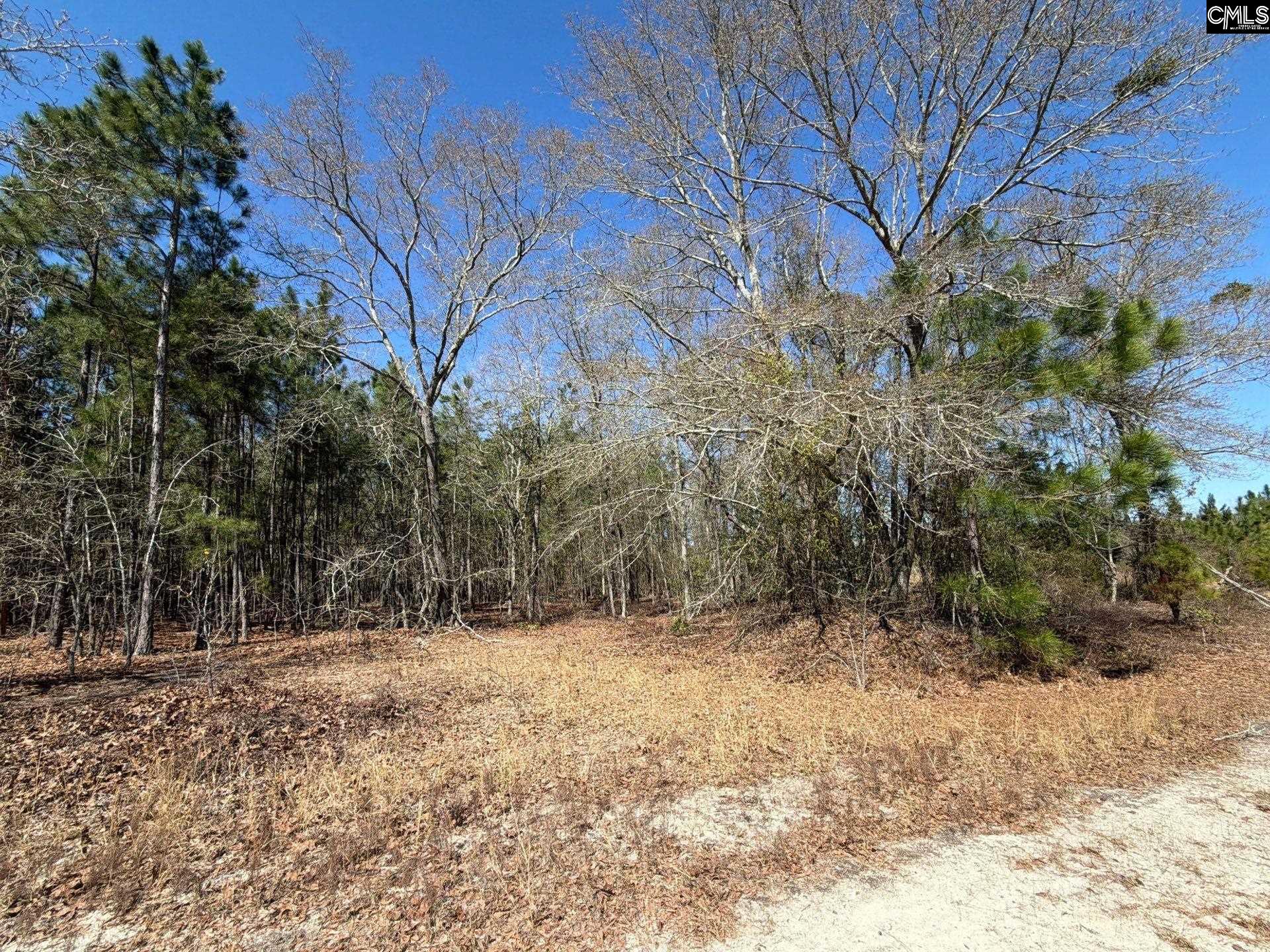 BHL 12 Boise Cascade Road Bethune, SC 29009
