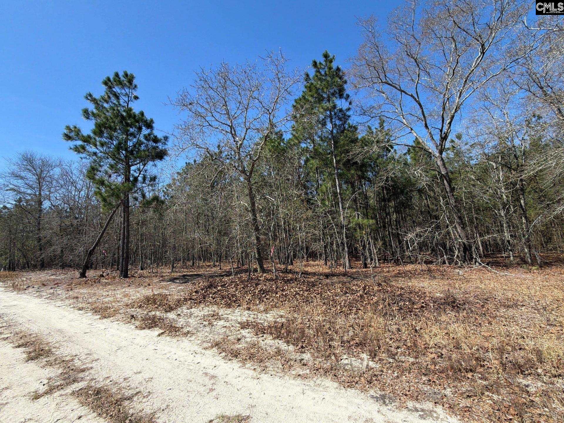 BHL 12 Boise Cascade Road Bethune, SC 29009