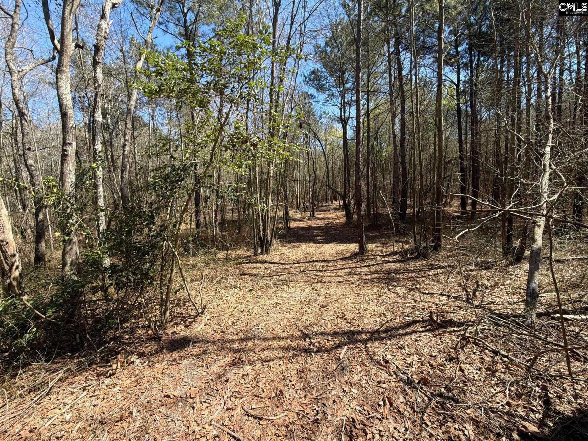 BHL 12 Boise Cascade Road Bethune, SC 29009