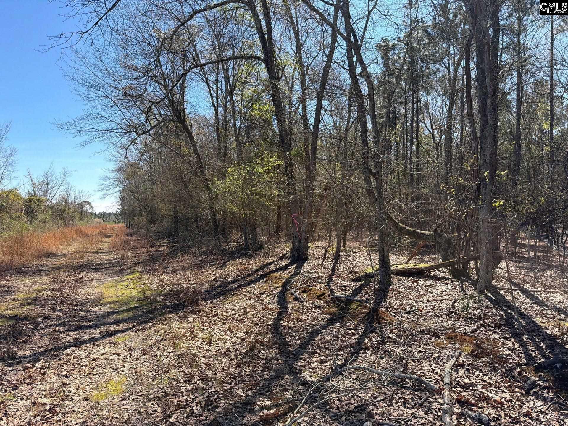 BHL 12 Boise Cascade Road Bethune, SC 29009