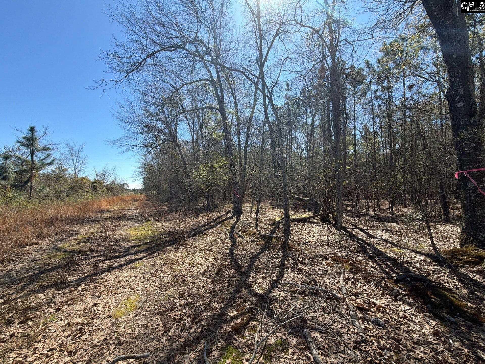 BHL 12 Boise Cascade Road Bethune, SC 29009