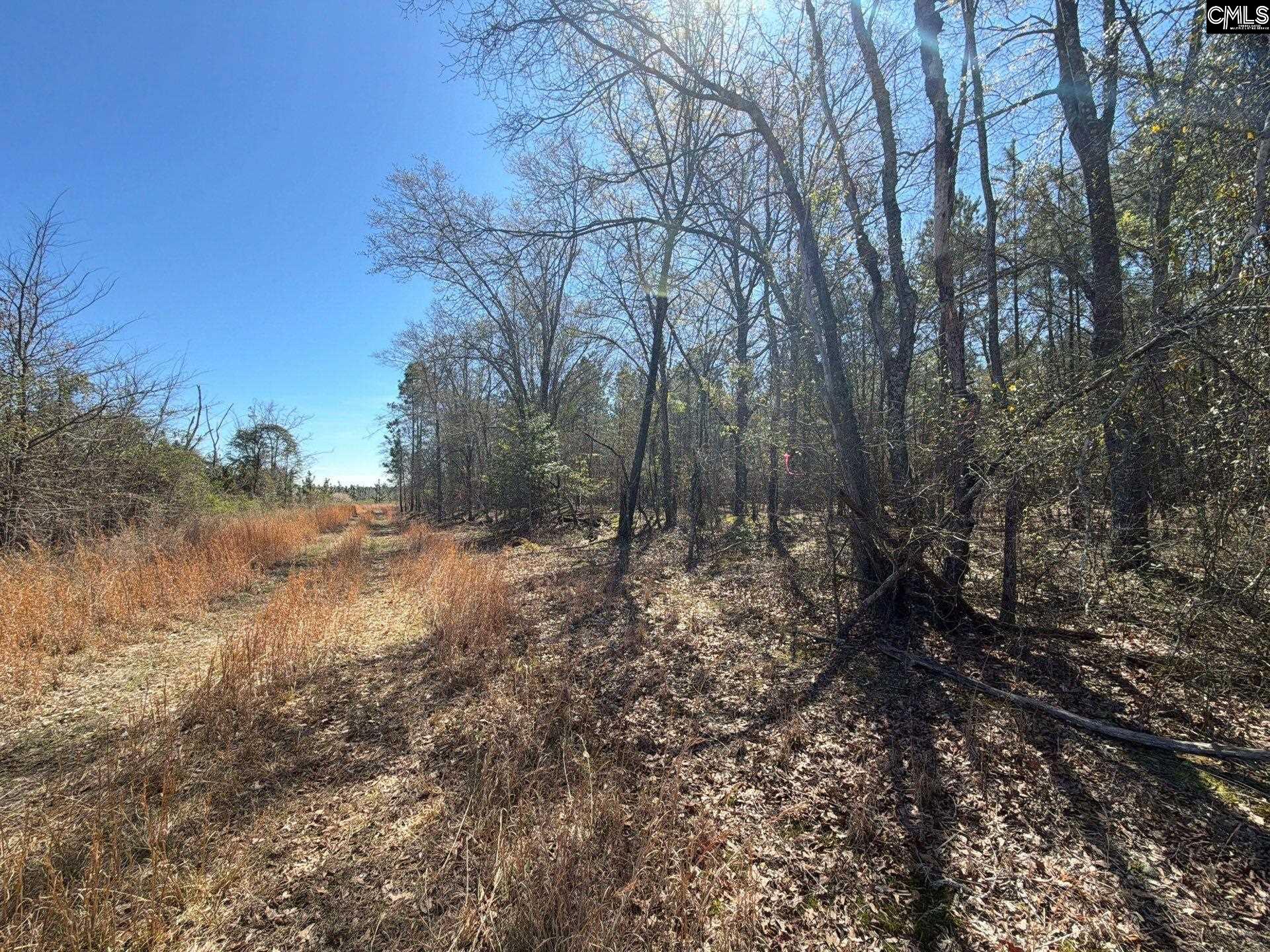 BHL 12 Boise Cascade Road Bethune, SC 29009