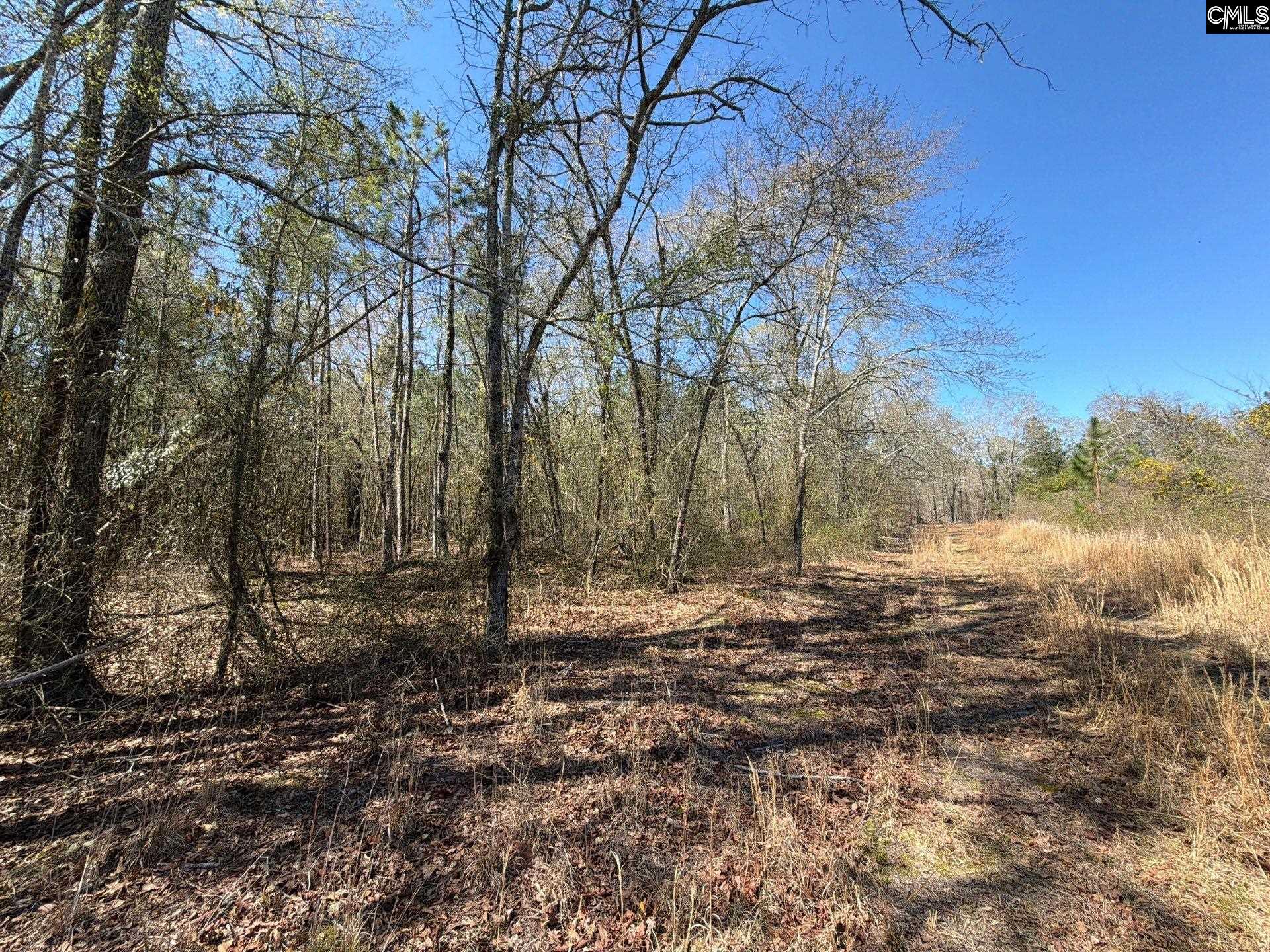 BHL 12 Boise Cascade Road Bethune, SC 29009